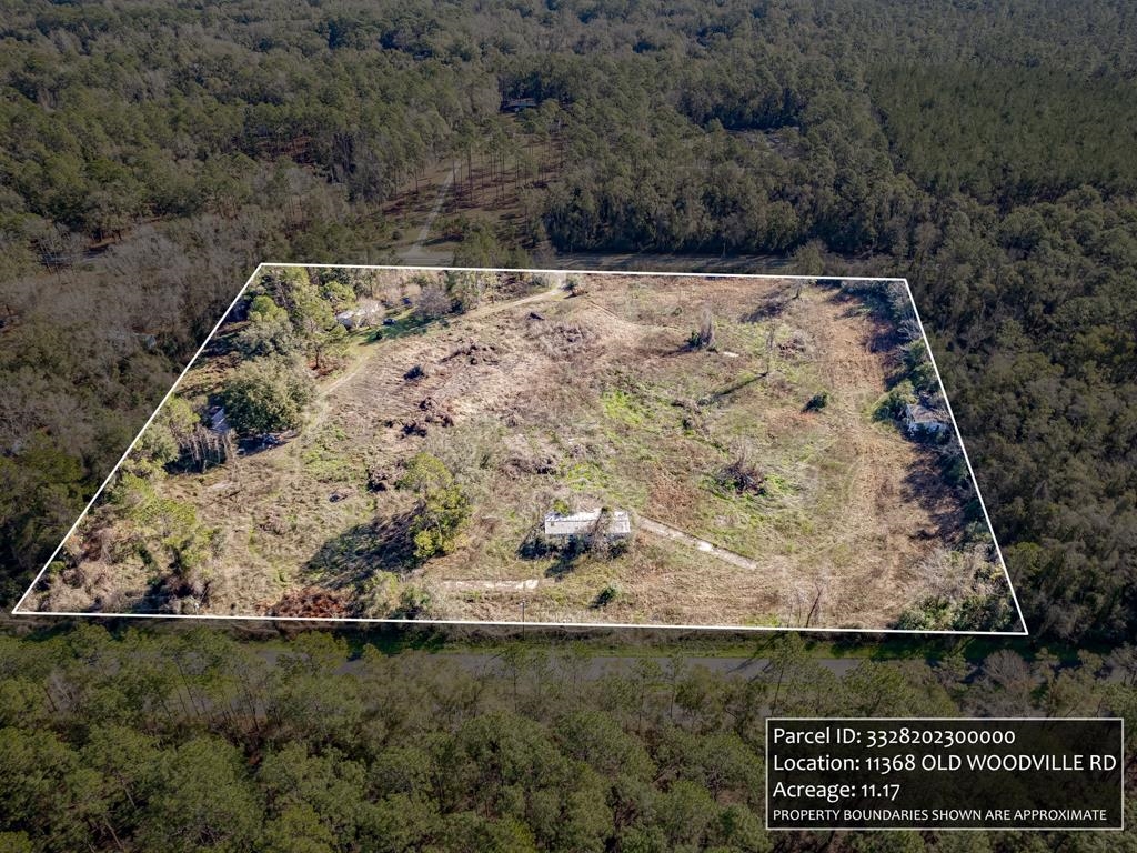 11368 Old Woodville Road #2, Woodville, Florida image 8