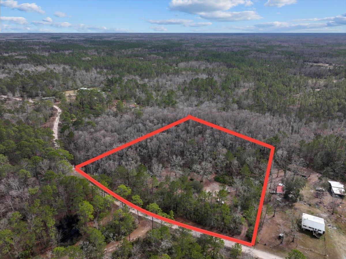 17641 Aucilla River Estates Road, Lamont, Florida image 1