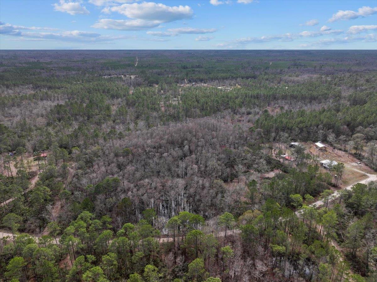 17641 Aucilla River Estates Road, Lamont, Florida image 14