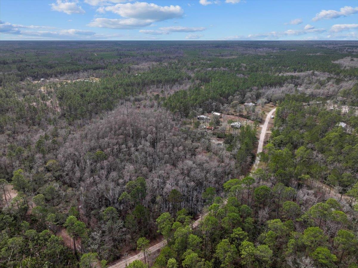 17641 Aucilla River Estates Road, Lamont, Florida image 15