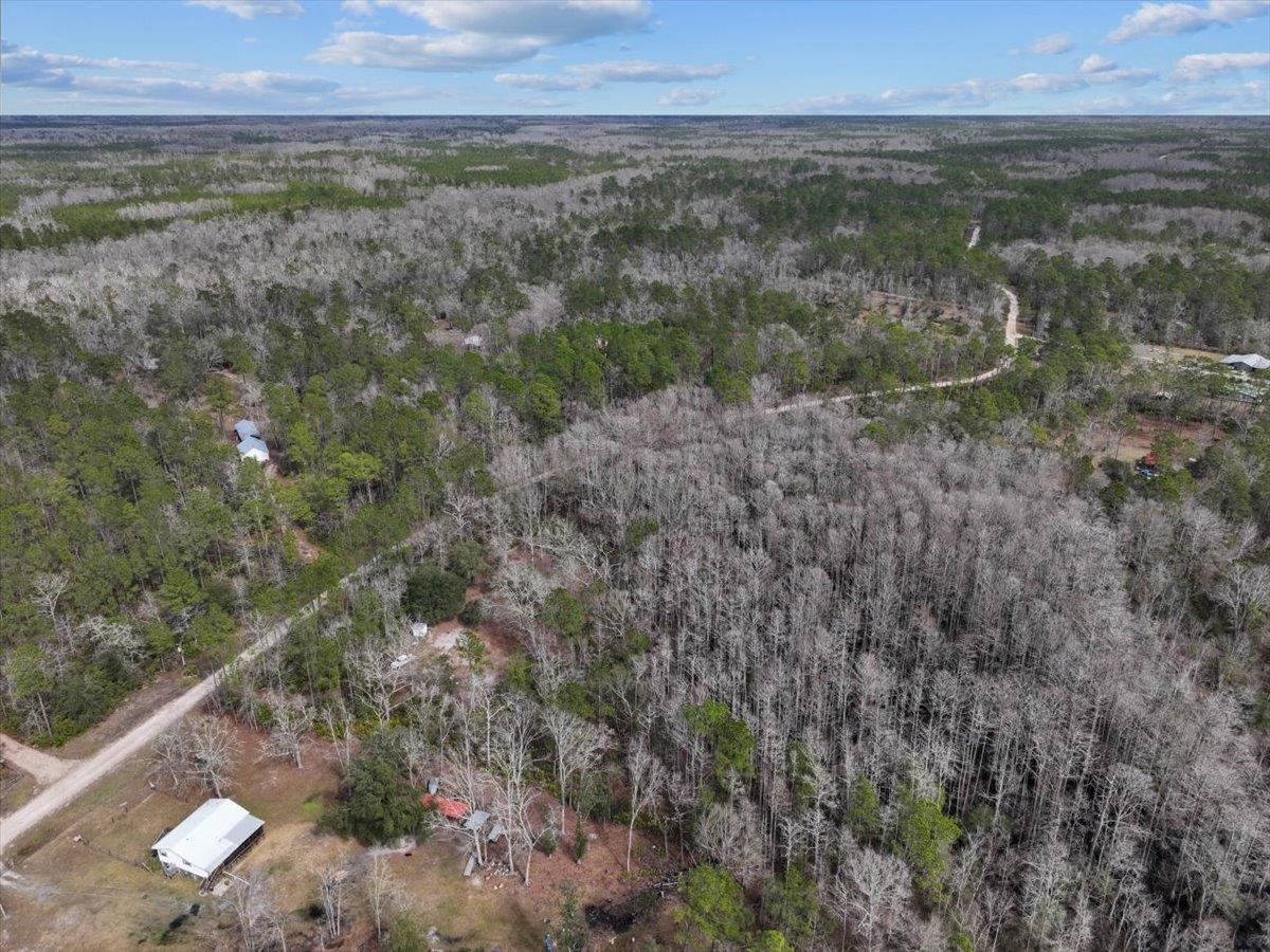 17641 Aucilla River Estates Road, Lamont, Florida image 18