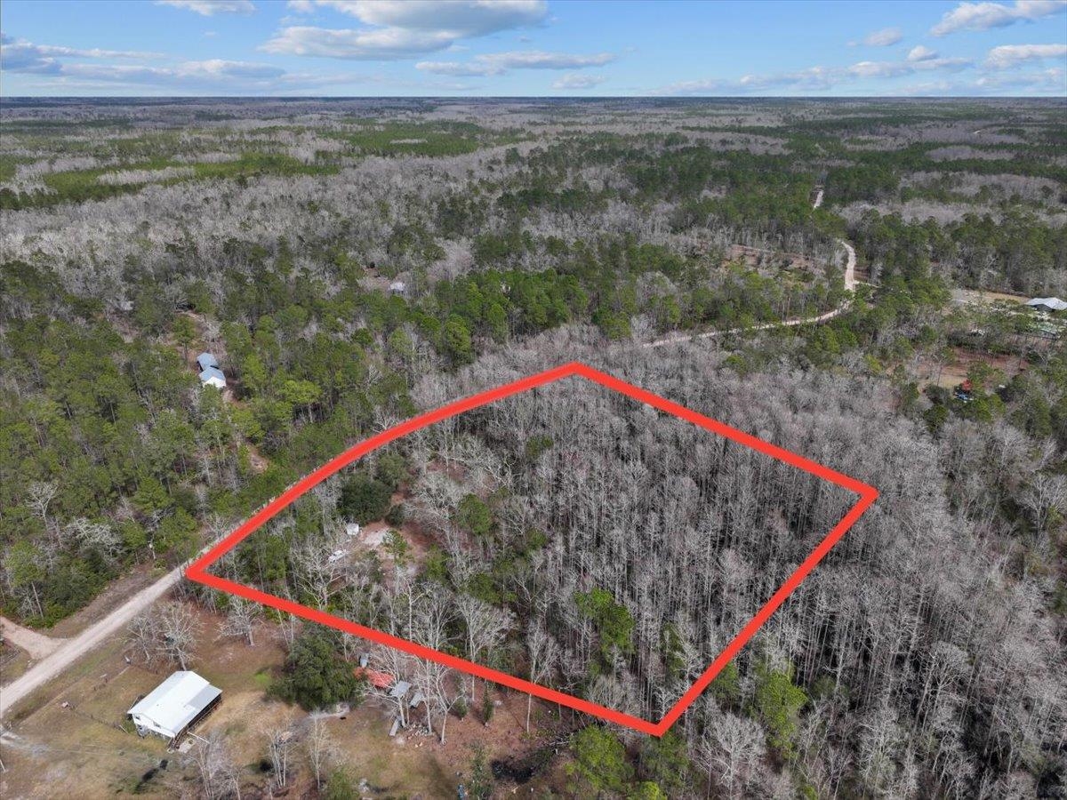 17641 Aucilla River Estates Road, Lamont, Florida image 2