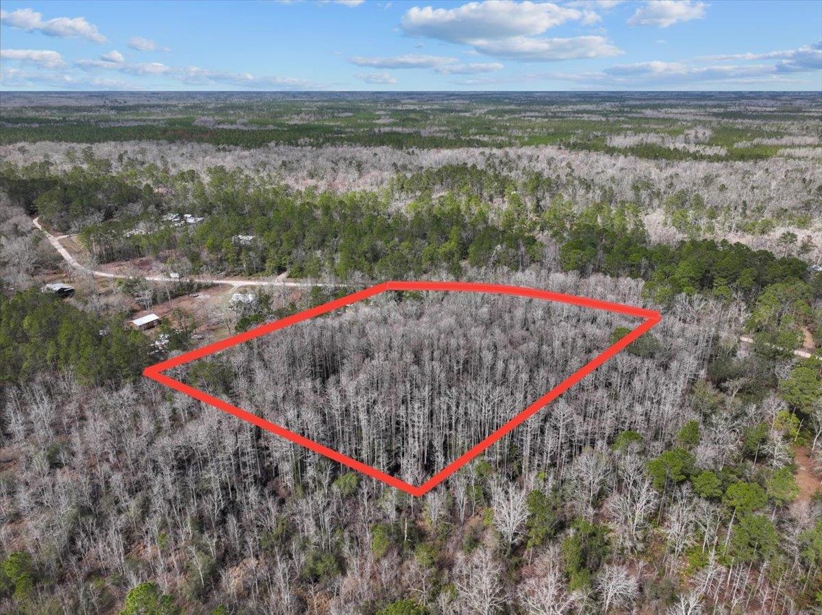 17641 Aucilla River Estates Road, Lamont, Florida image 4