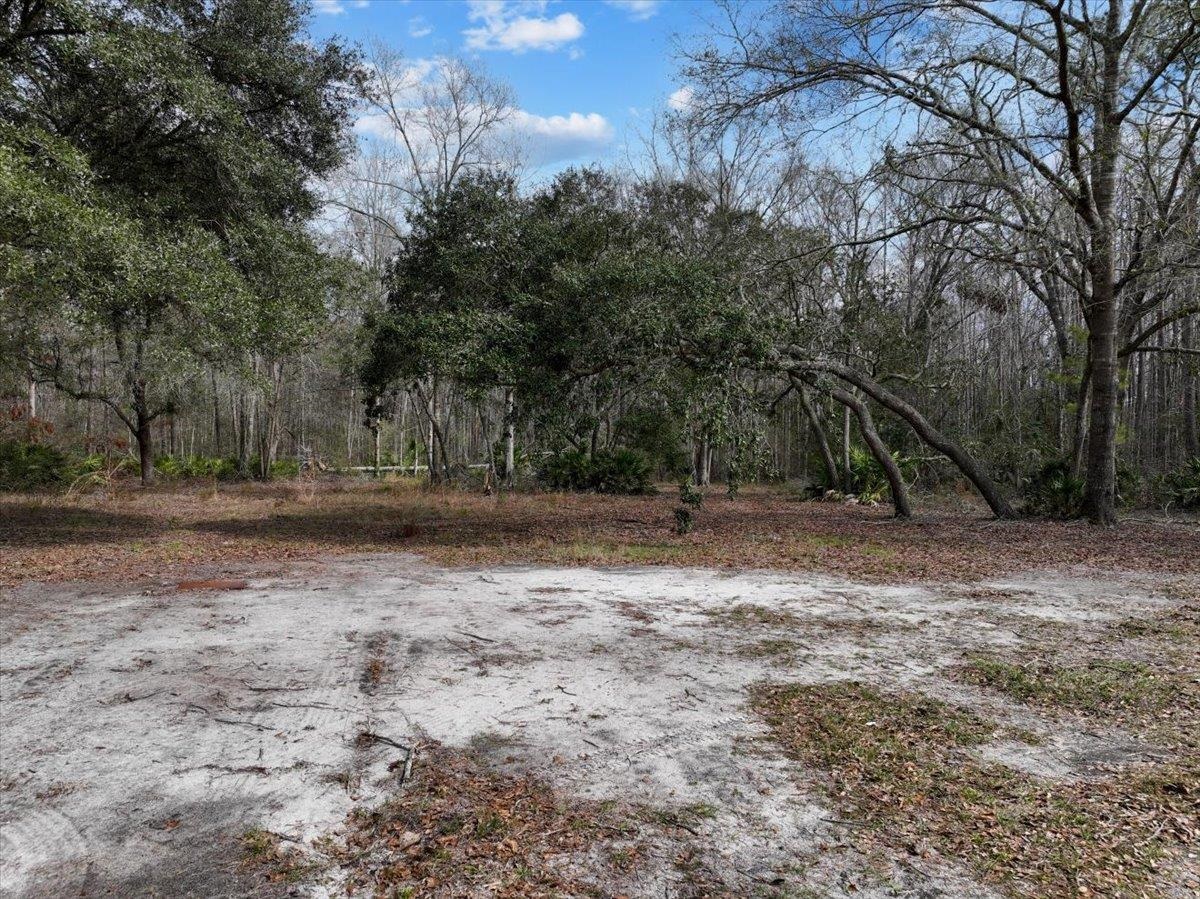 17641 Aucilla River Estates Road, Lamont, Florida image 5