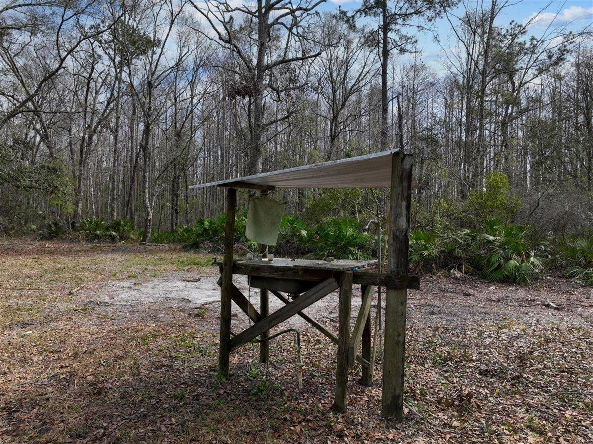 17641 Aucilla River Estates Road, Lamont, Florida image 7