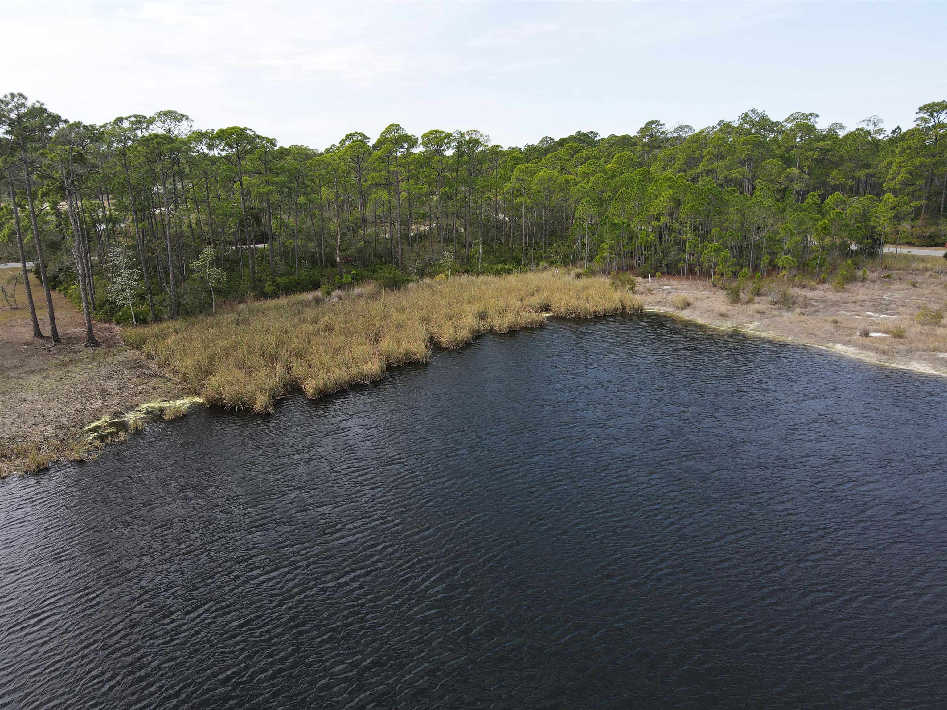Turtle Creek Lane, Panacea, Florida image 1