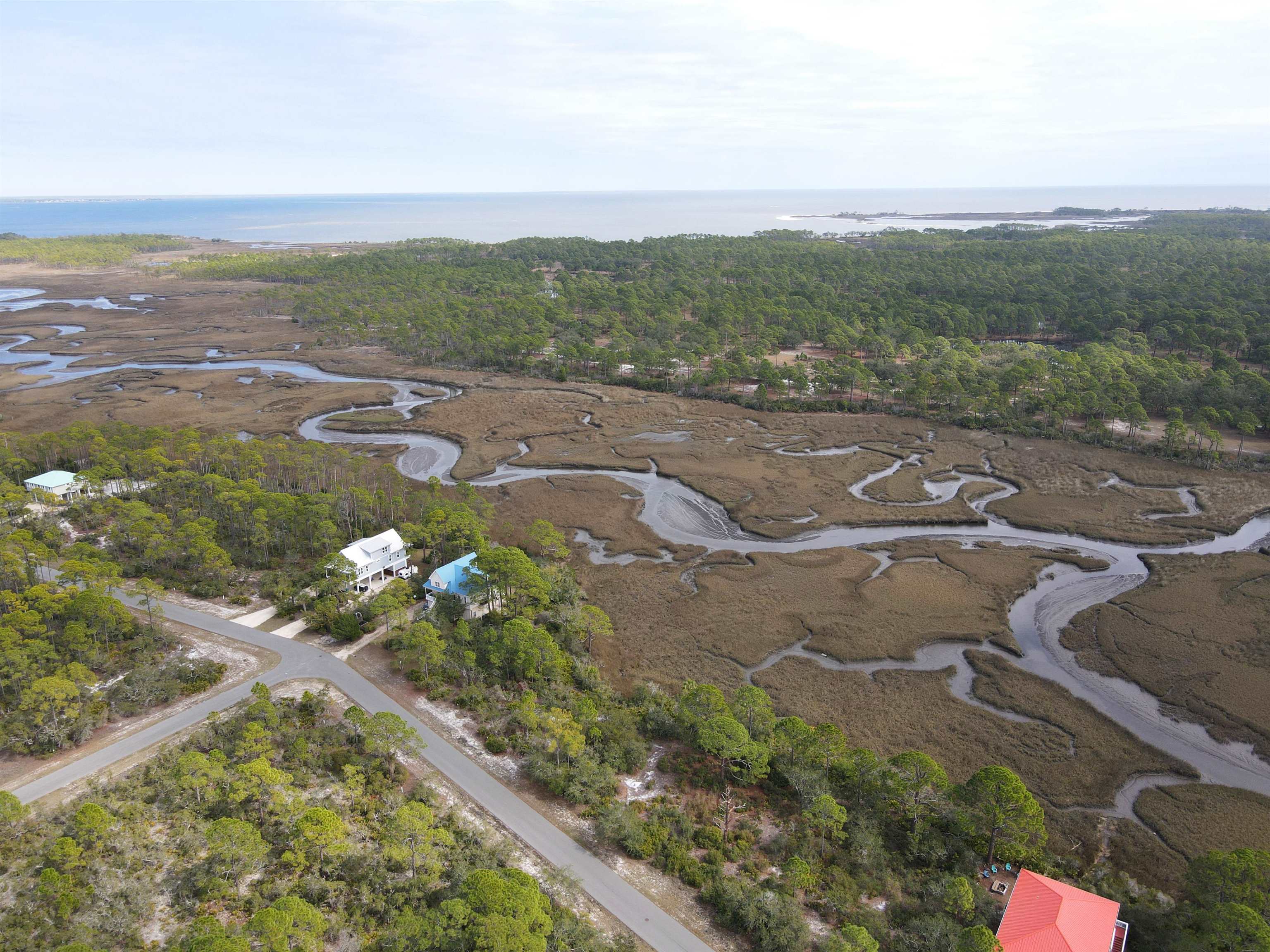 Turtle Creek Lane, Panacea, Florida image 10