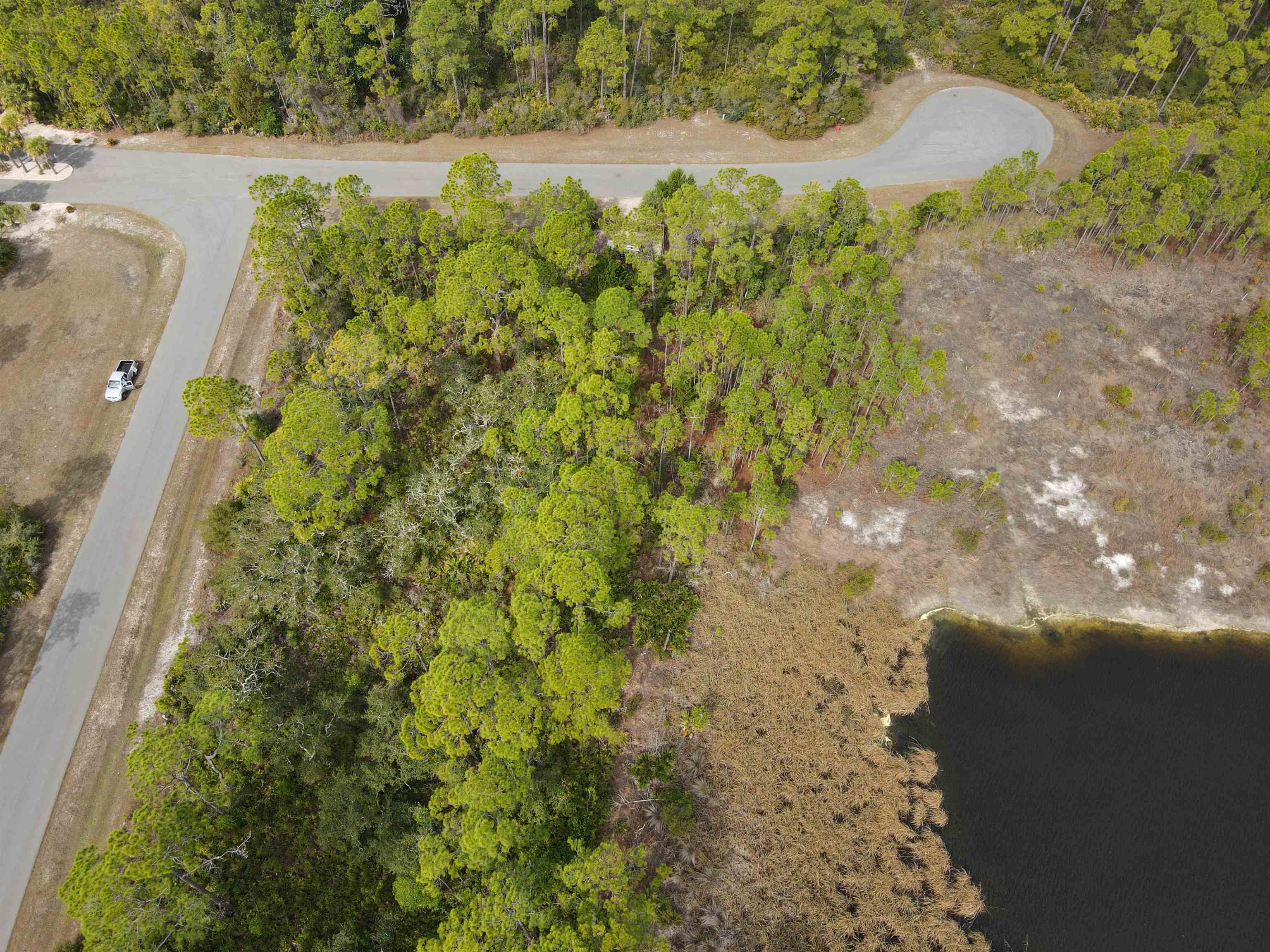 Turtle Creek Lane, Panacea, Florida image 3