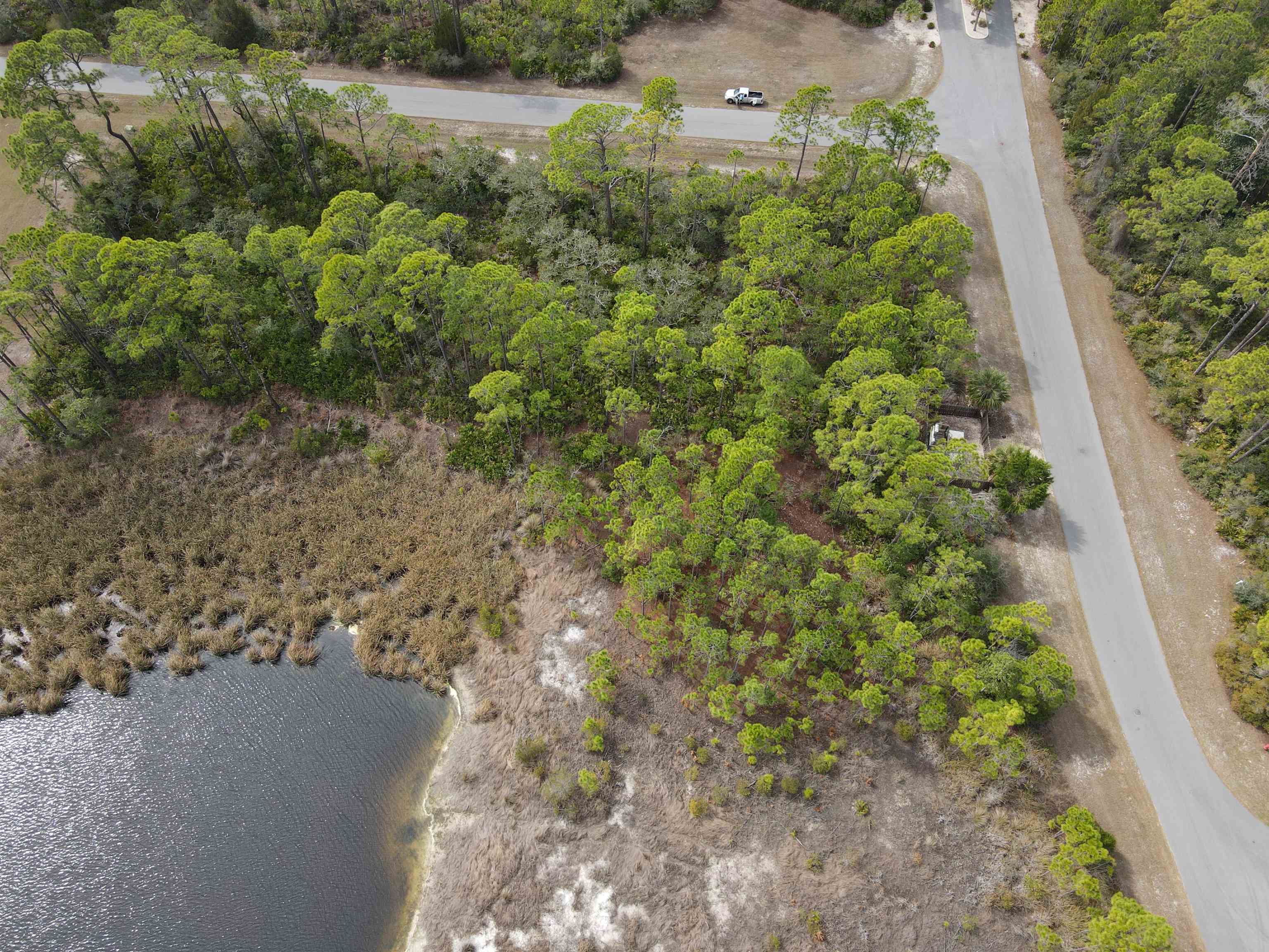 Turtle Creek Lane, Panacea, Florida image 5
