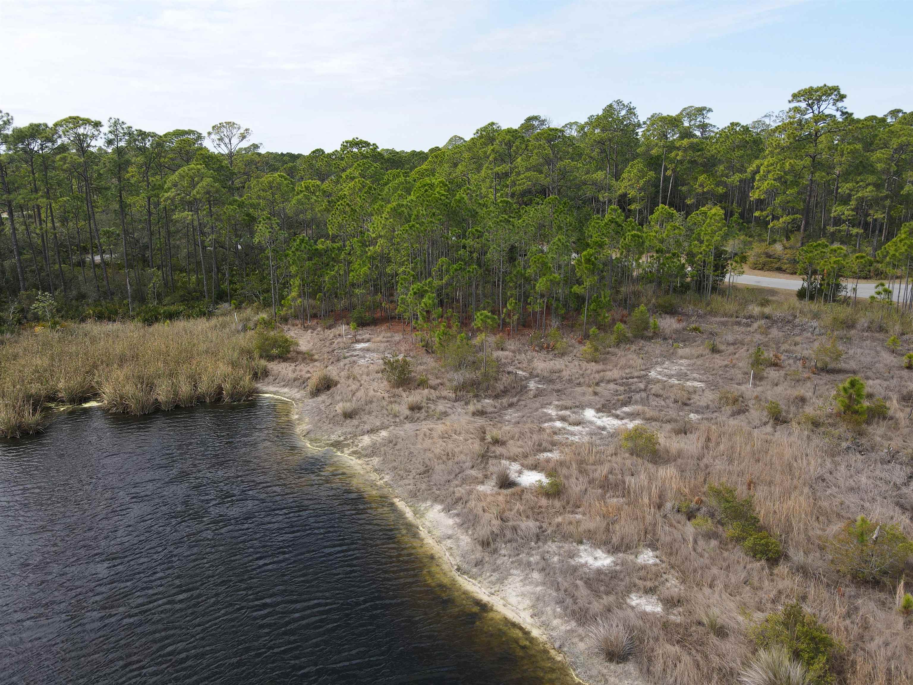 Turtle Creek Lane, Panacea, Florida image 7