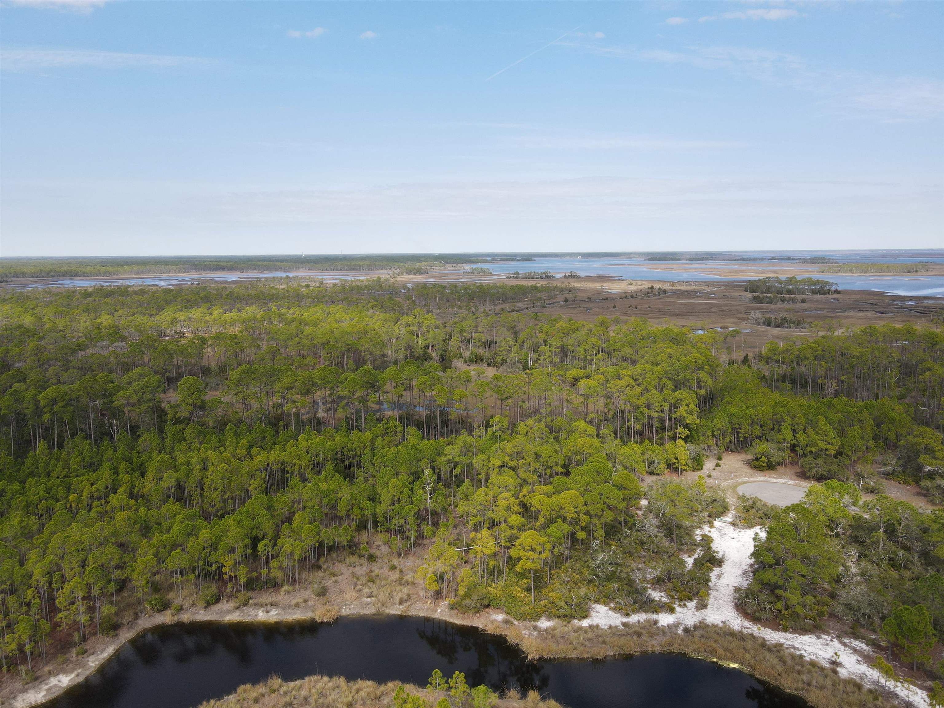 Turtle Creek Lane, Panacea, Florida image 8