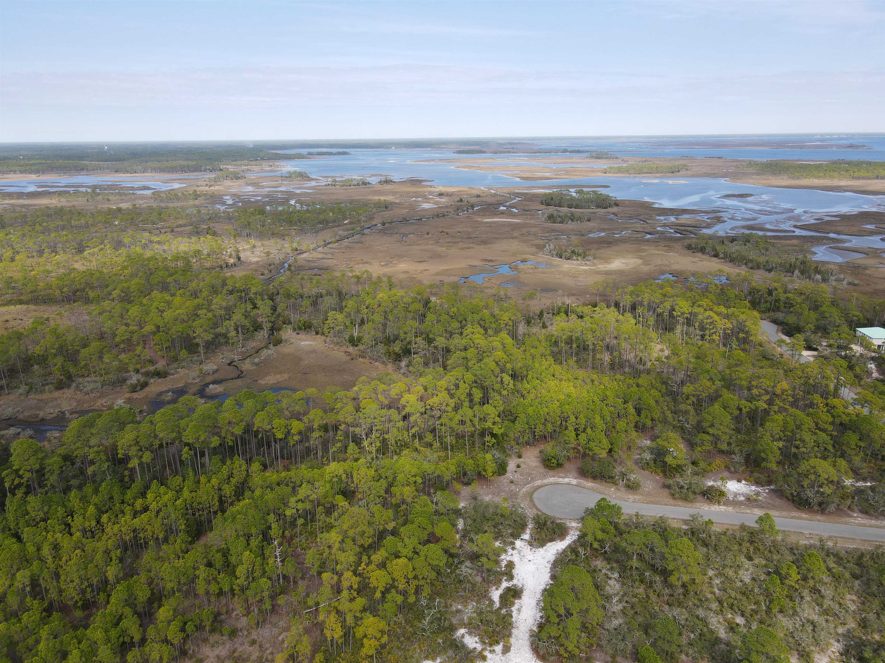 Turtle Creek Lane, Panacea, Texas image 9