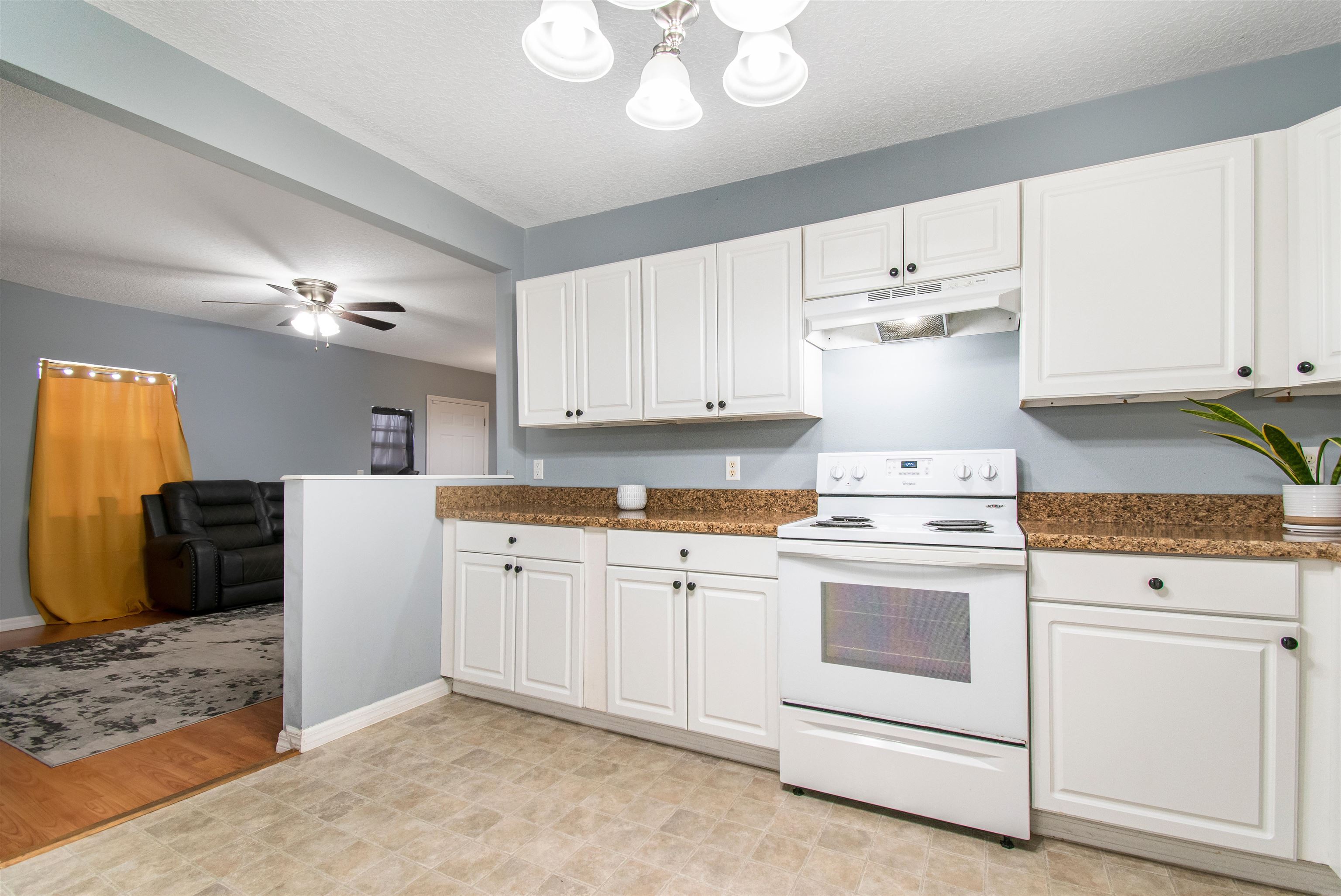 214 NE Anderson Terrace, Lake City, Florida image 6