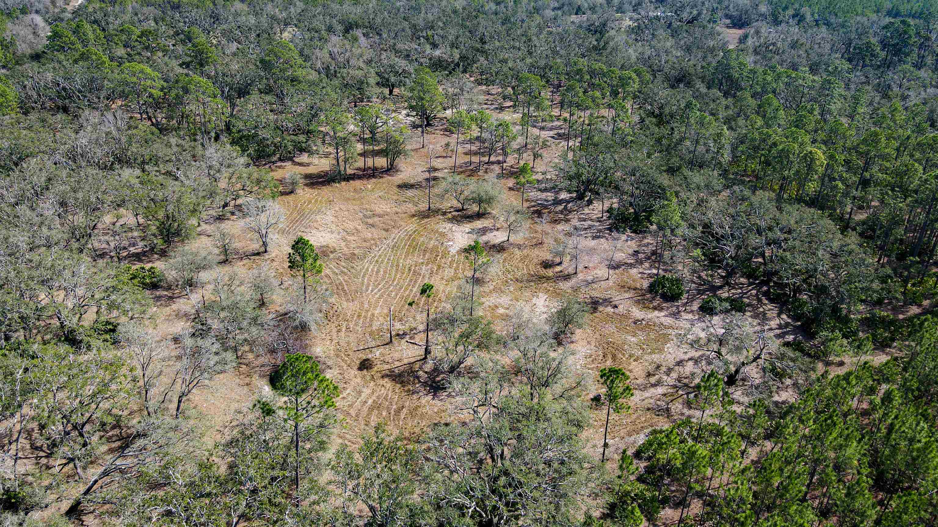 5821 Courtney Grade, Perry, Florida image 27