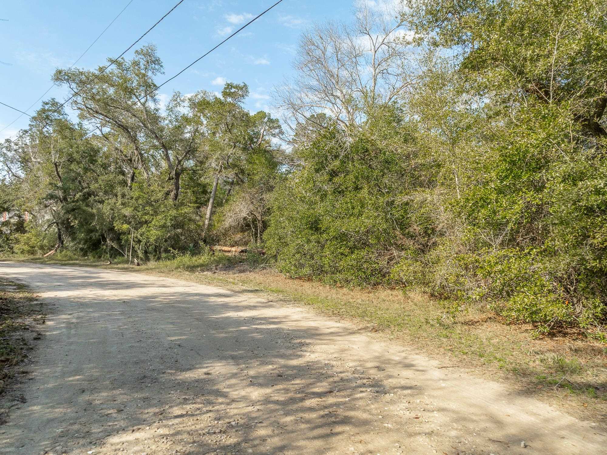 596 Mariner Circle, Alligator Point, Florida image 14