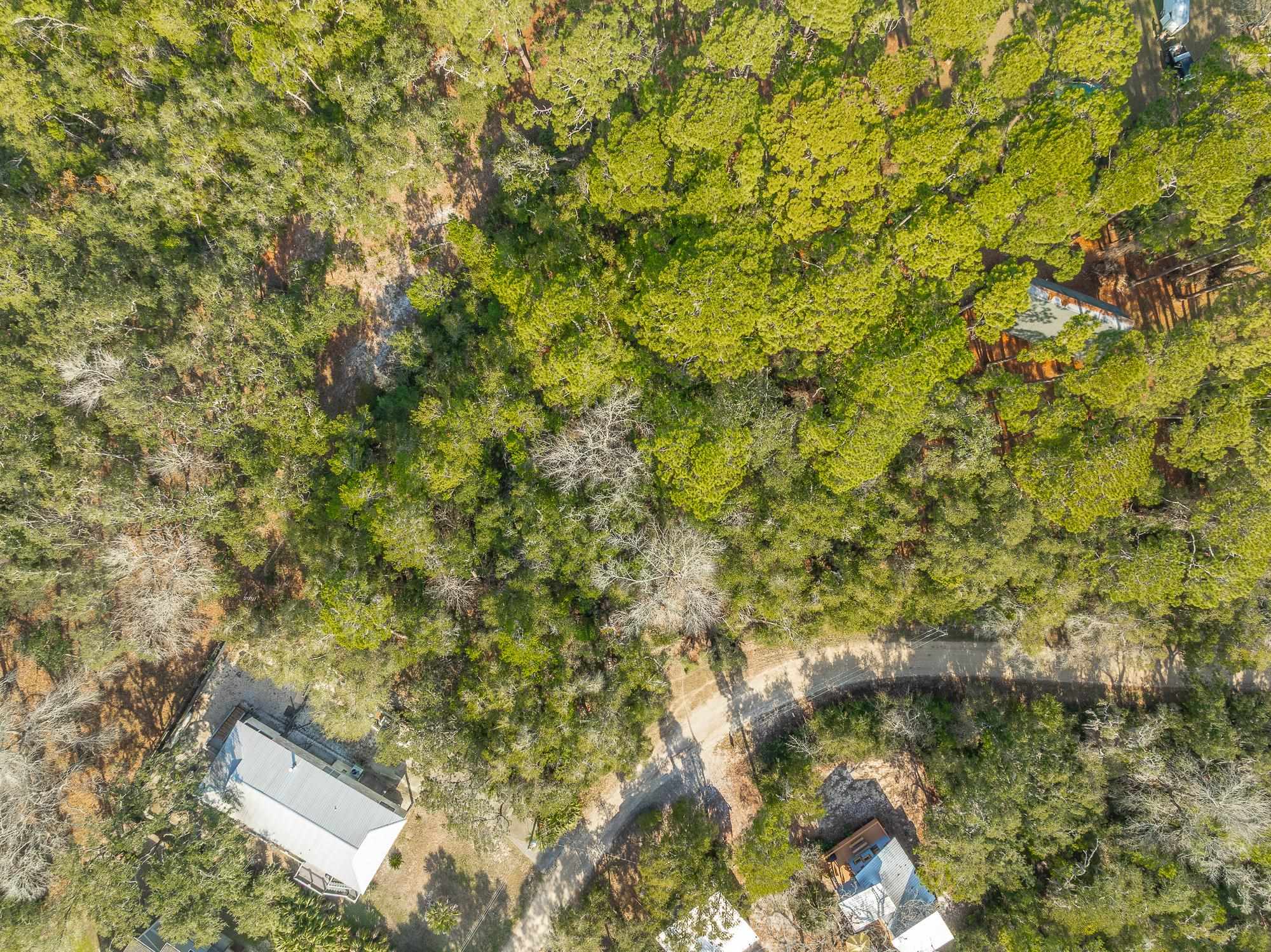 596 Mariner Circle, Alligator Point, Florida image 16