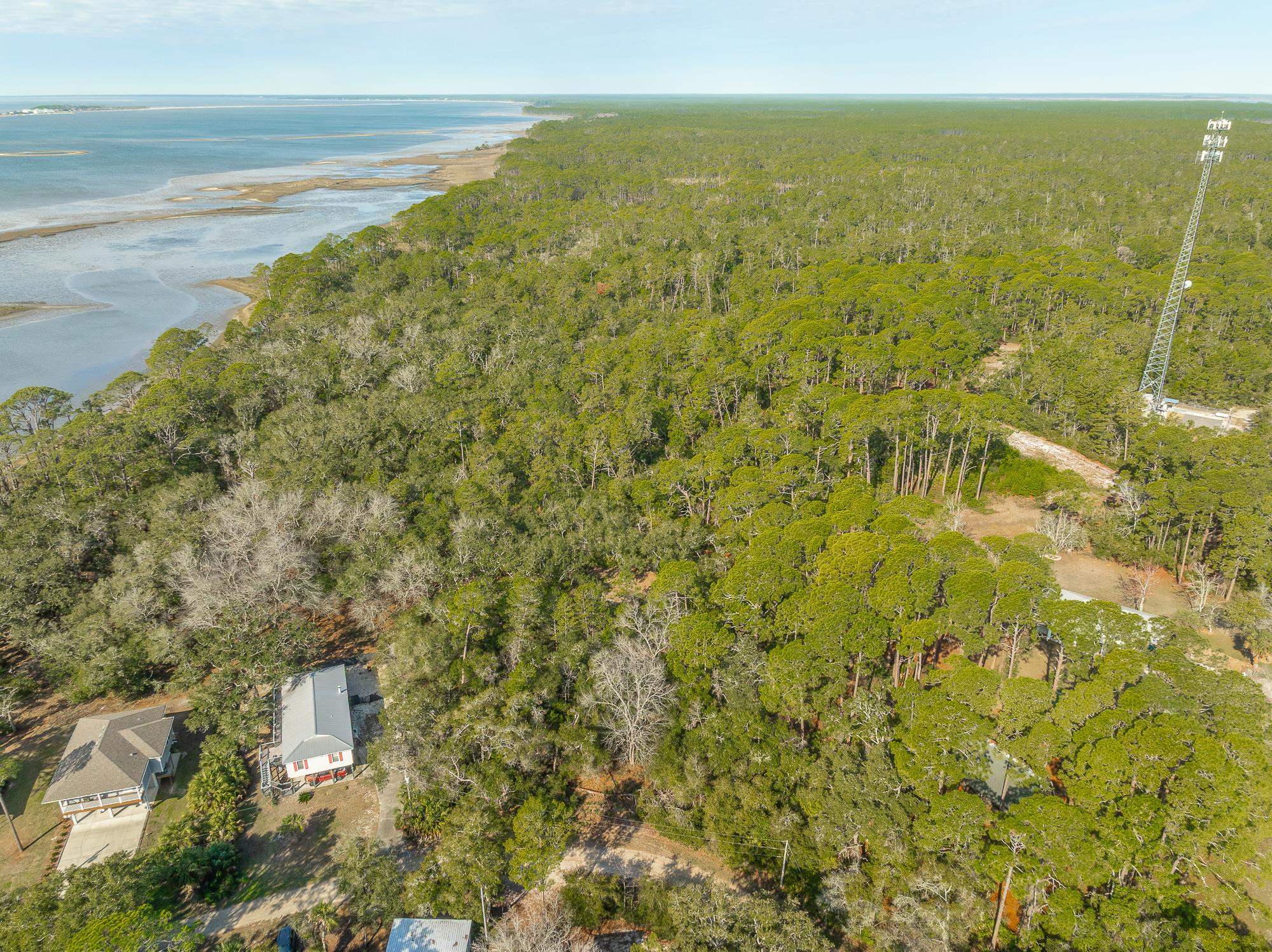 596 Mariner Circle, Alligator Point, Florida image 21