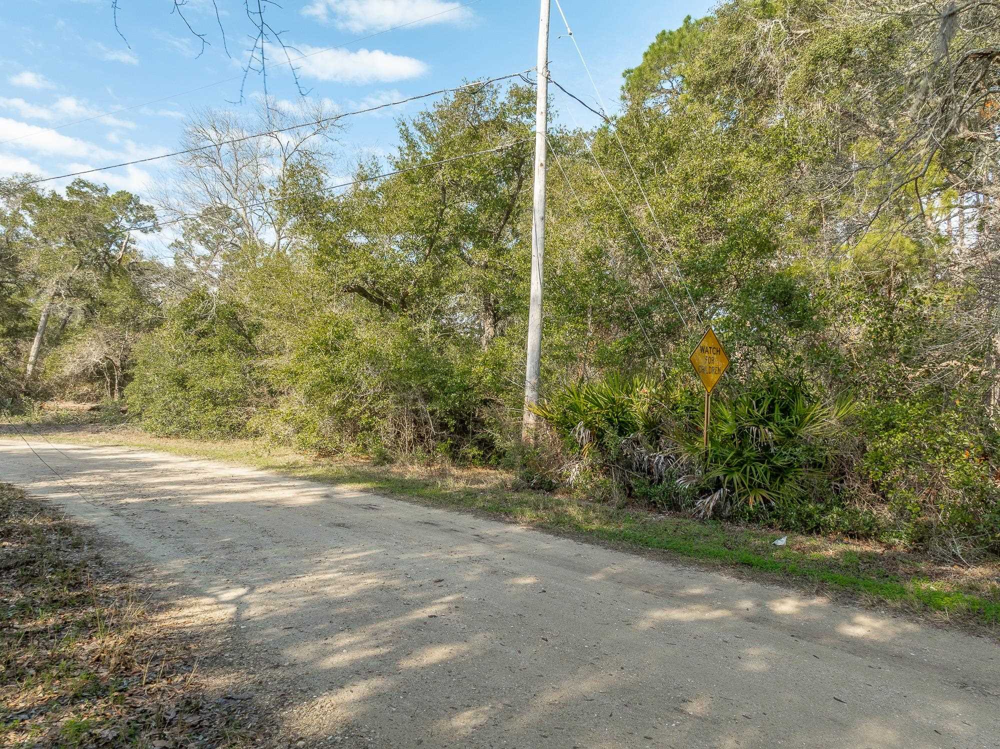 596 Mariner Circle, Alligator Point, Florida image 28