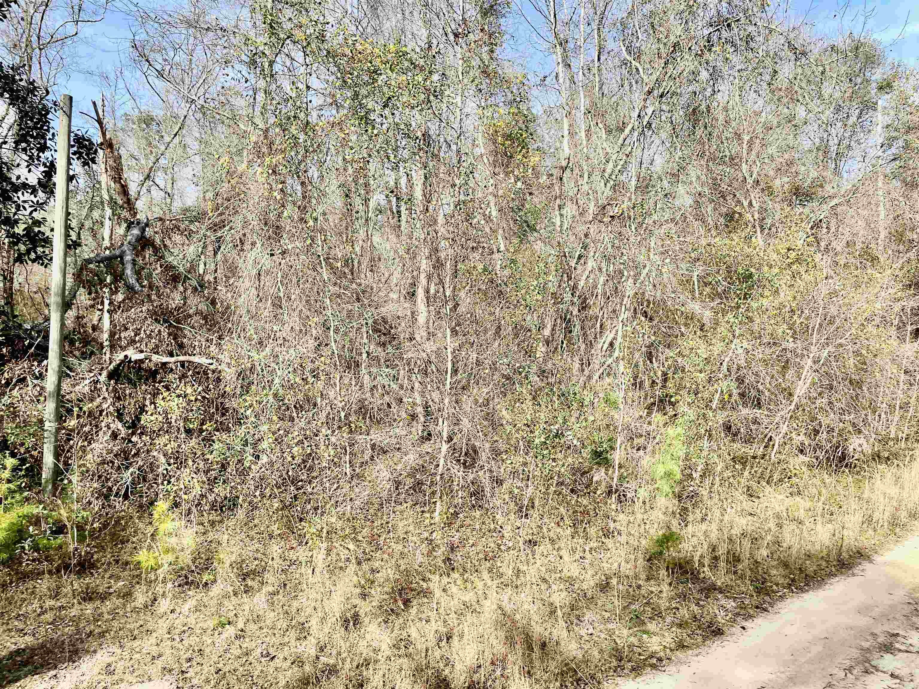 TBD Aucilla Plantation Court, Greenville, Florida image 9