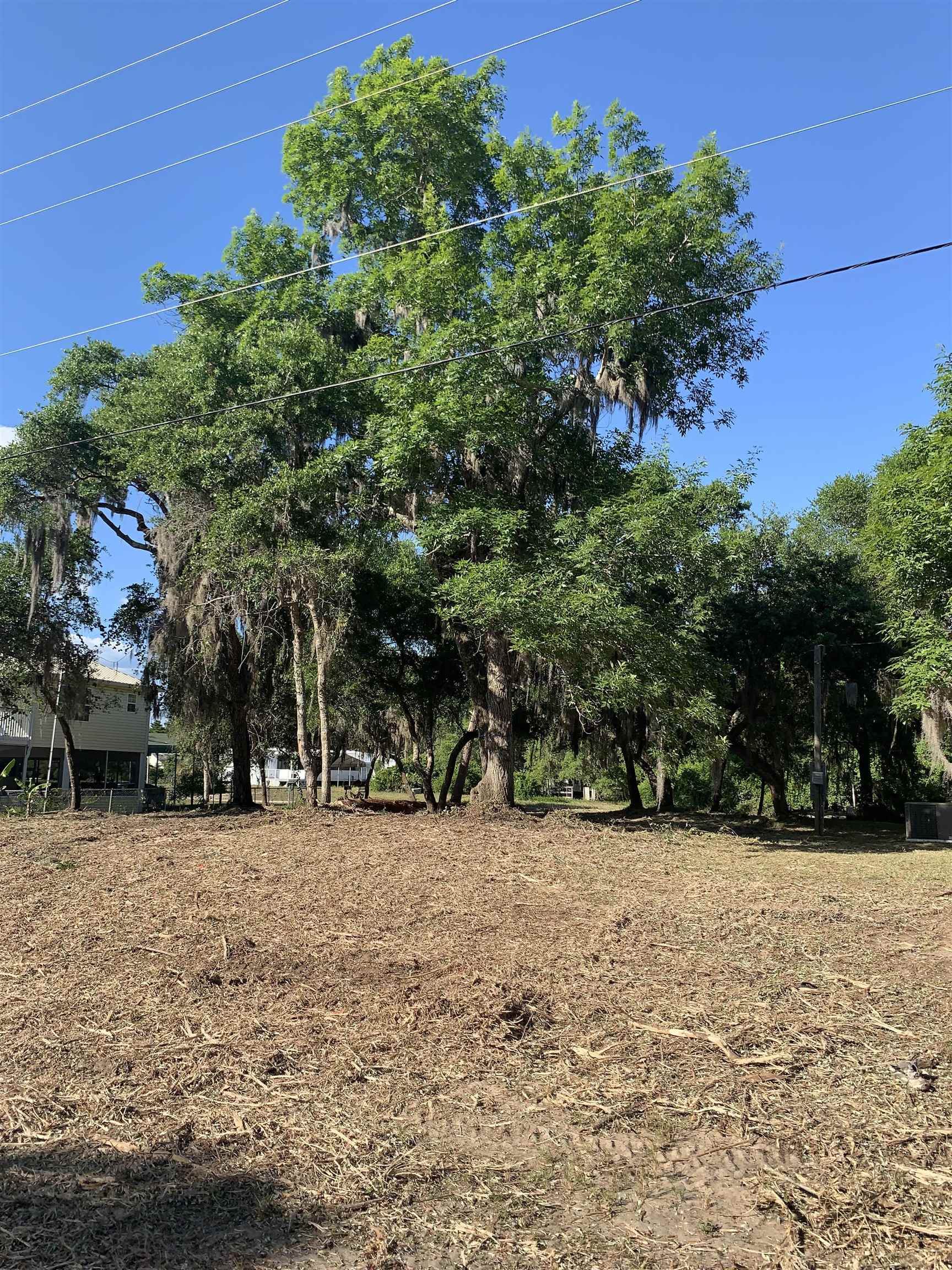 603 Alligator Drive, Alligator Point, Florida image 2