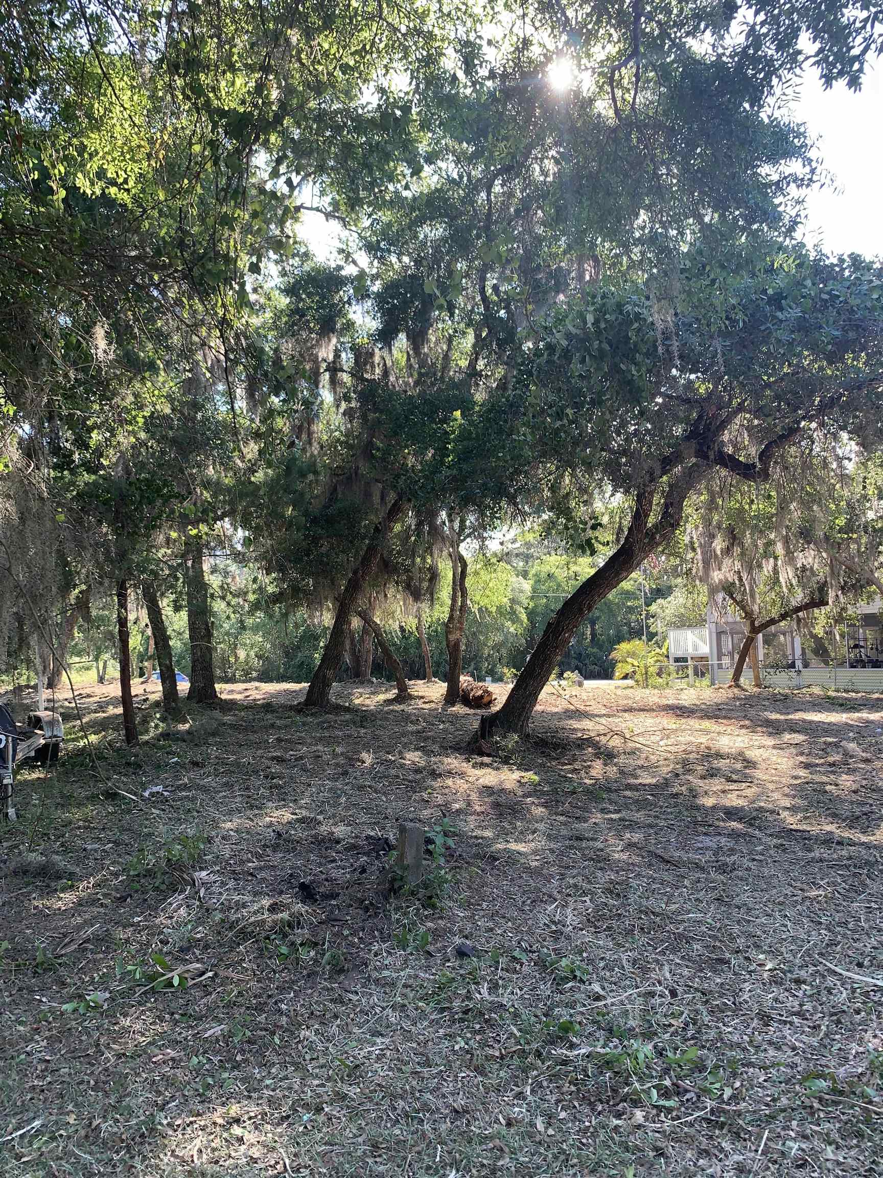 603 Alligator Drive, Alligator Point, Florida image 7