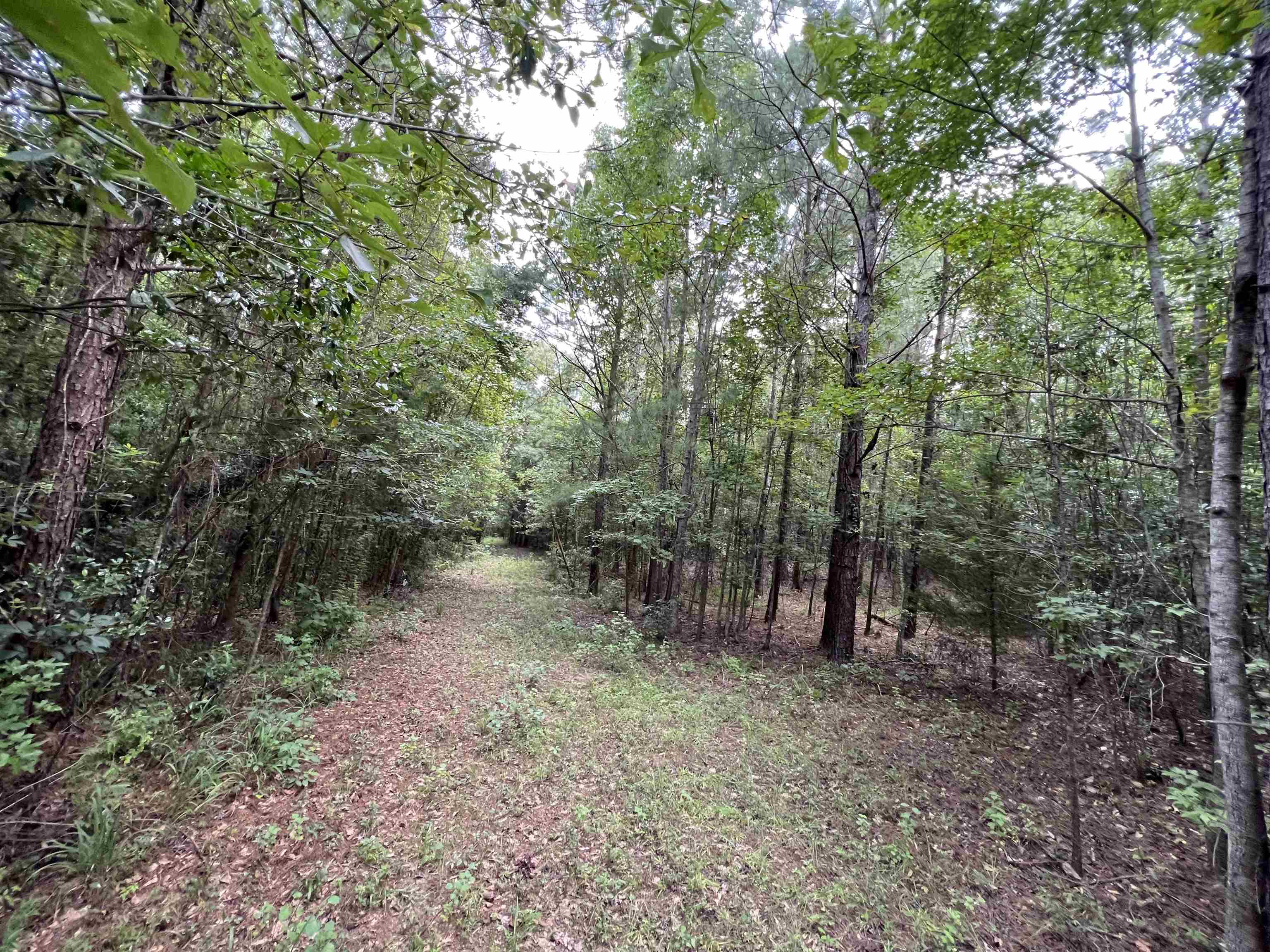 18701 Blue Star Highway, Quincy, Florida image 10
