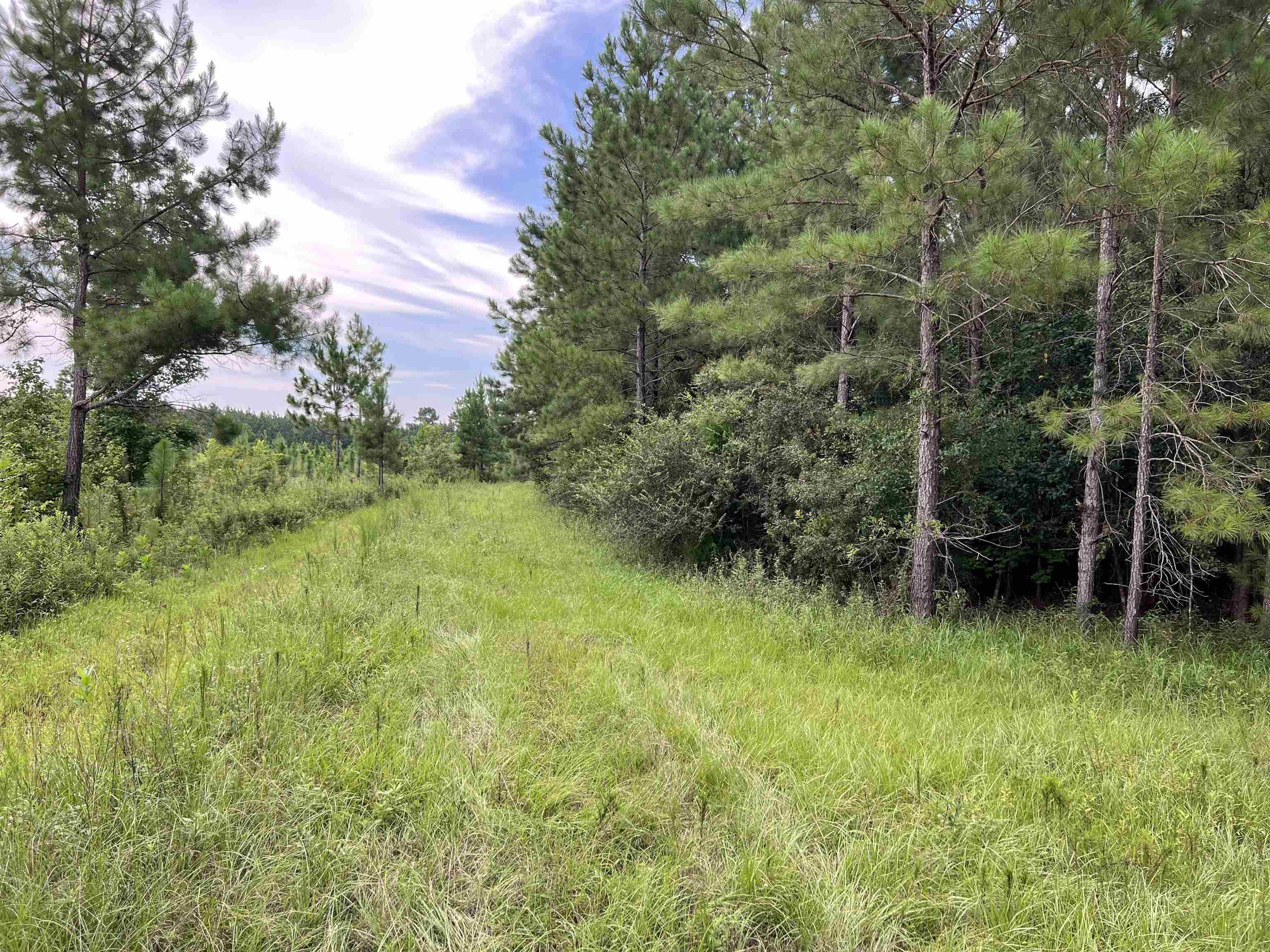 18701 Blue Star Highway, Quincy, Florida image 11