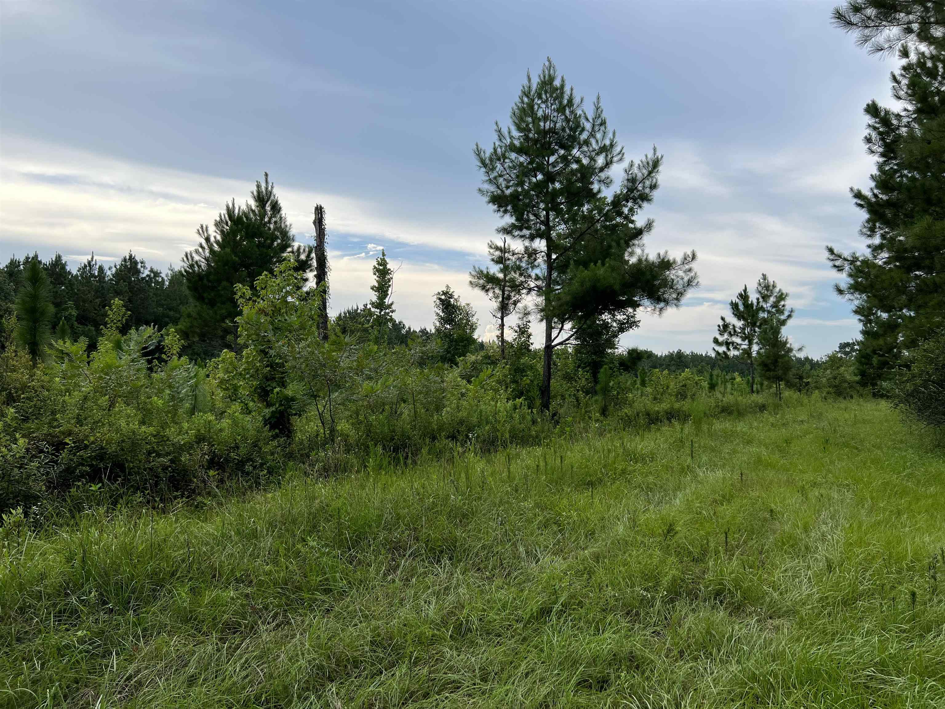 18701 Blue Star Highway, Quincy, Florida image 16
