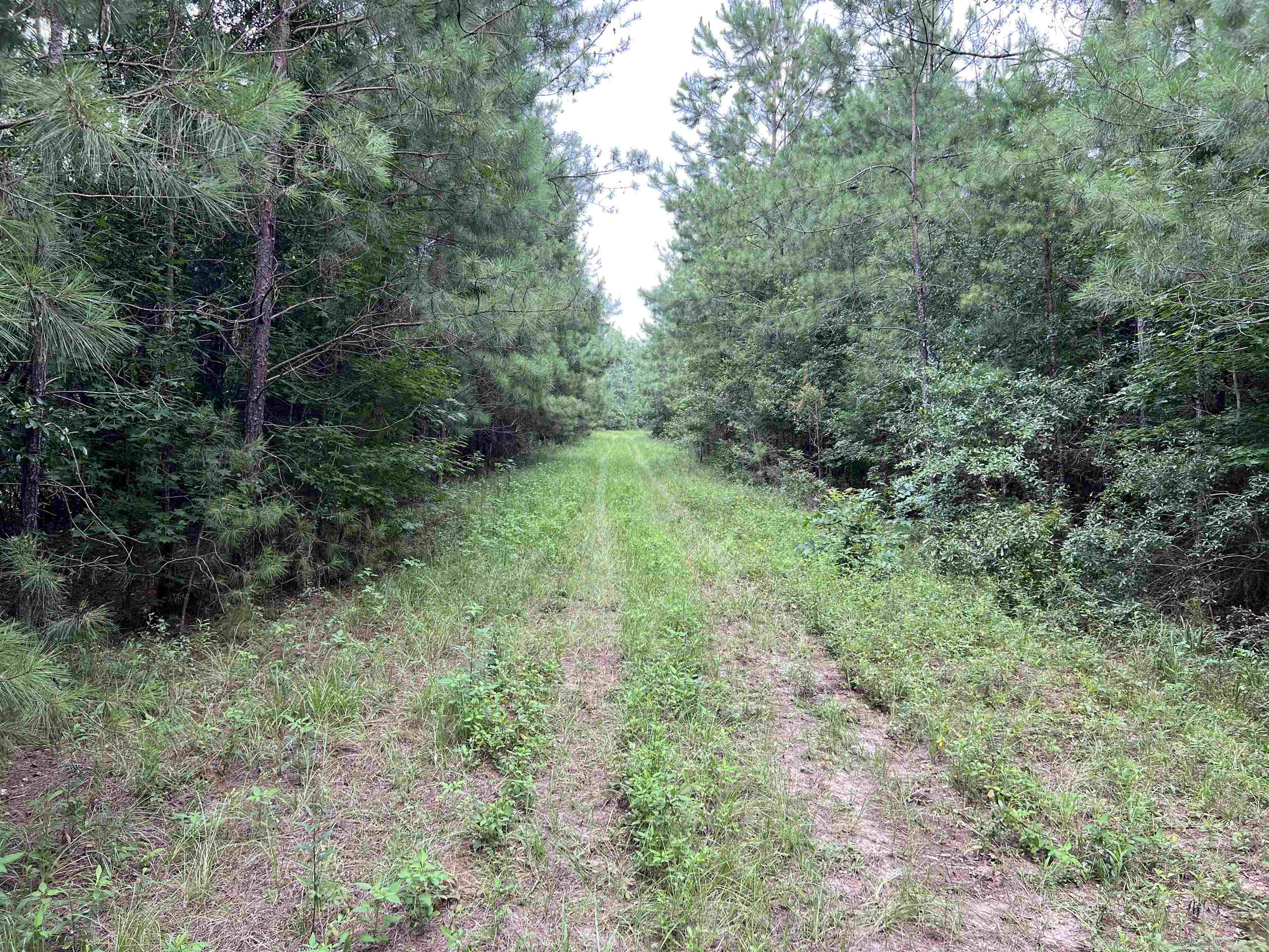 18701 Blue Star Highway, Quincy, Florida image 19