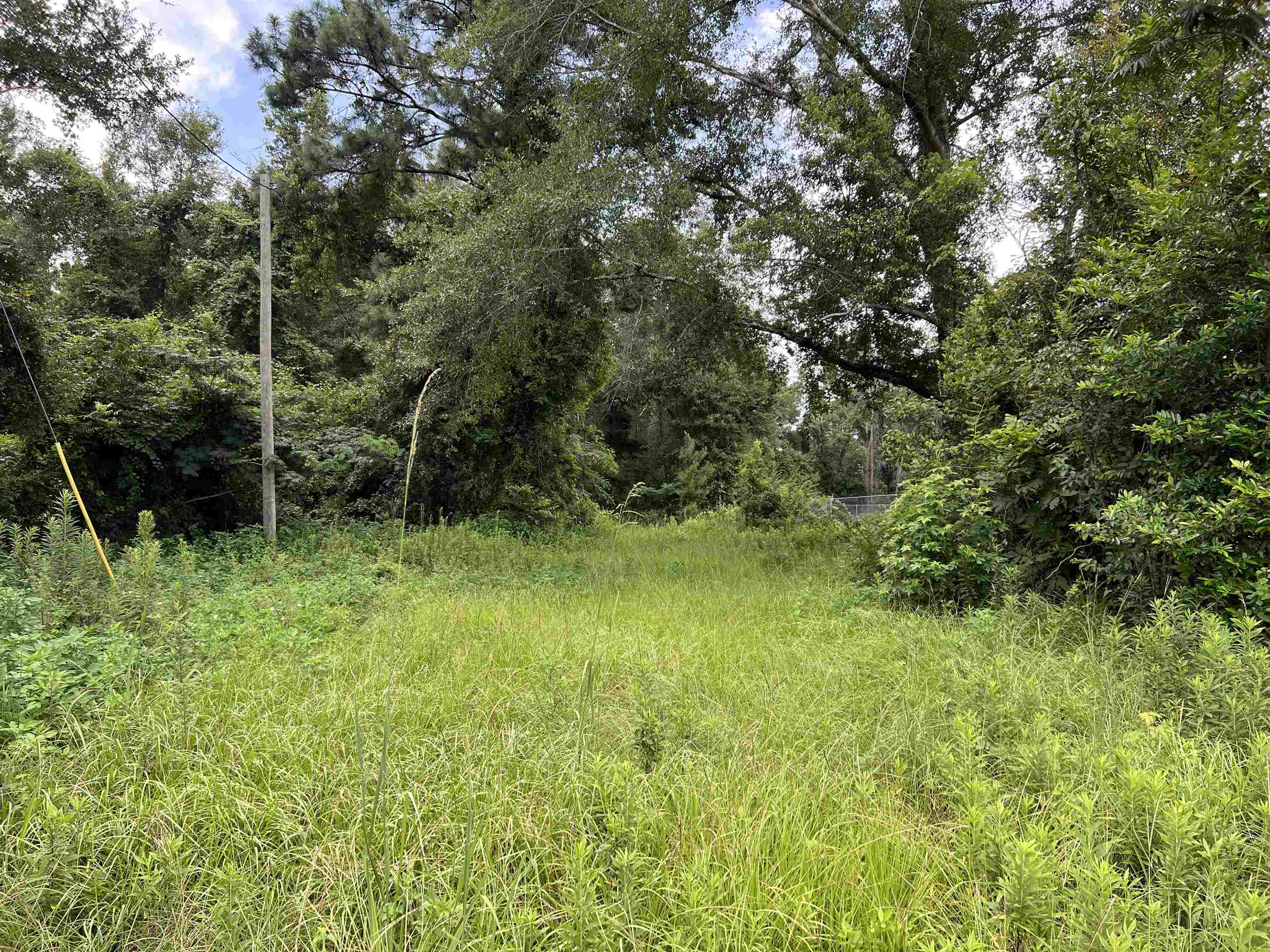 18701 Blue Star Highway, Quincy, Florida image 20