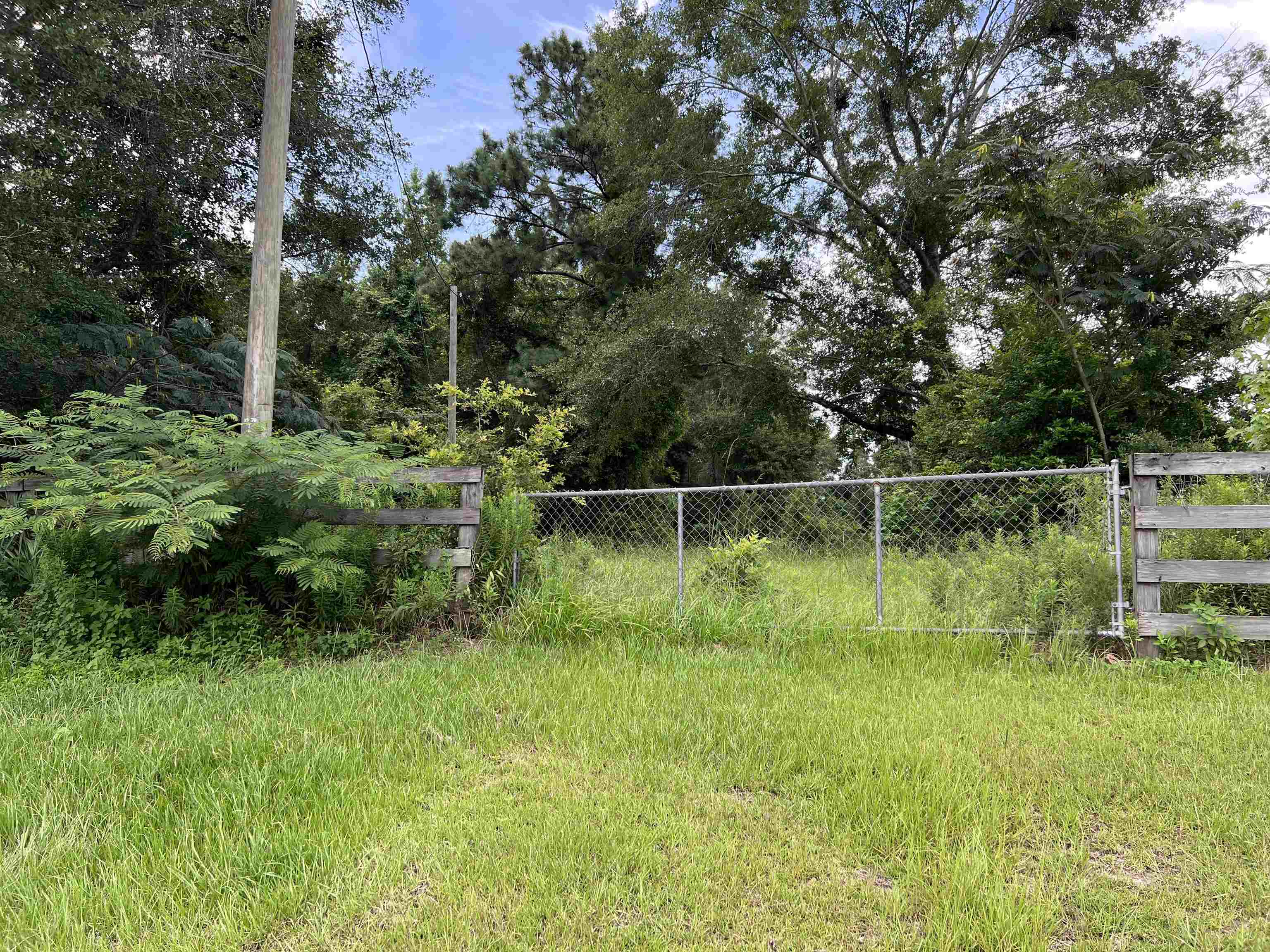 18701 Blue Star Highway, Quincy, Florida image 4