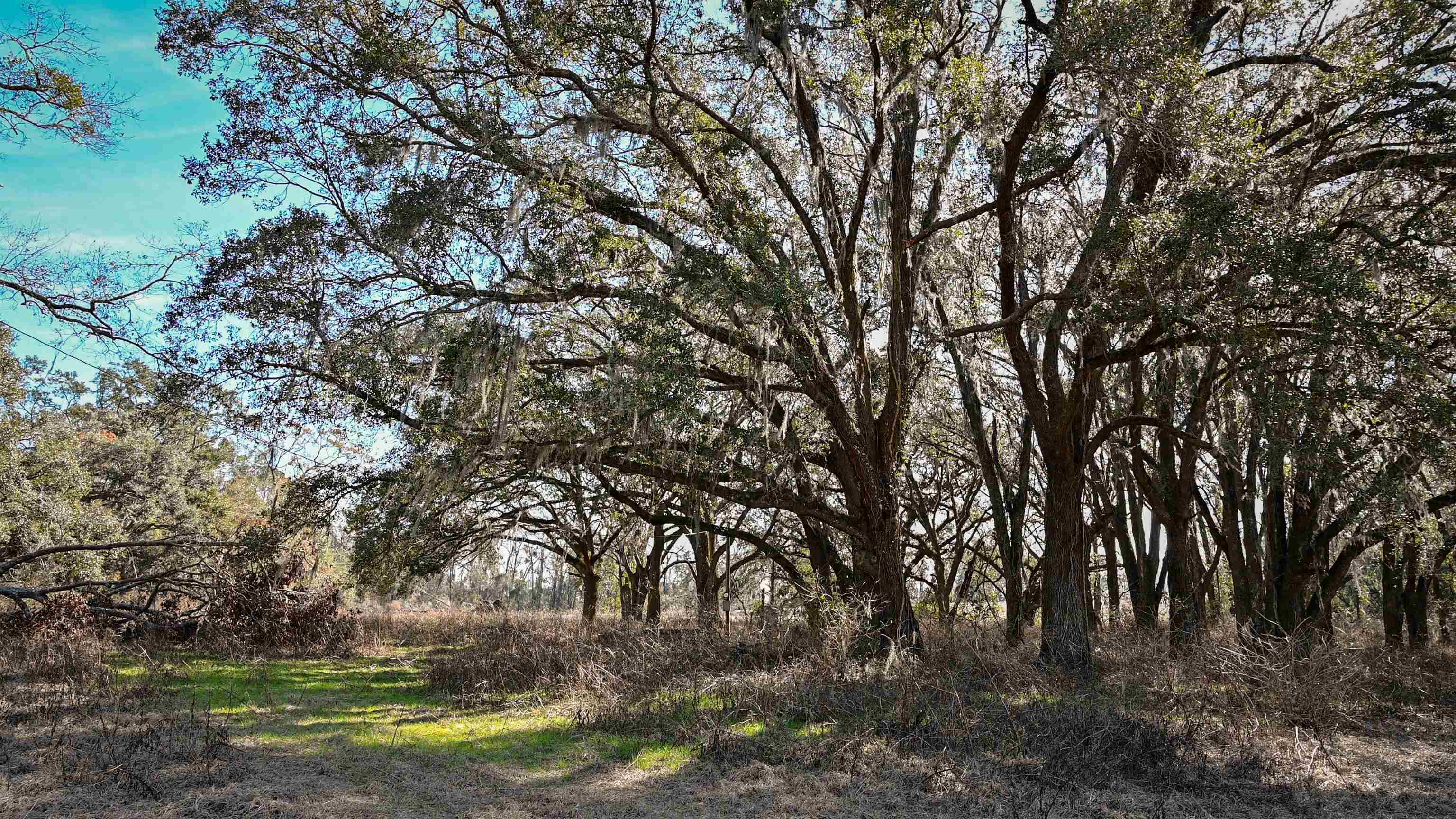 Vacant Hartsfield Road, Monticello, Florida image 1