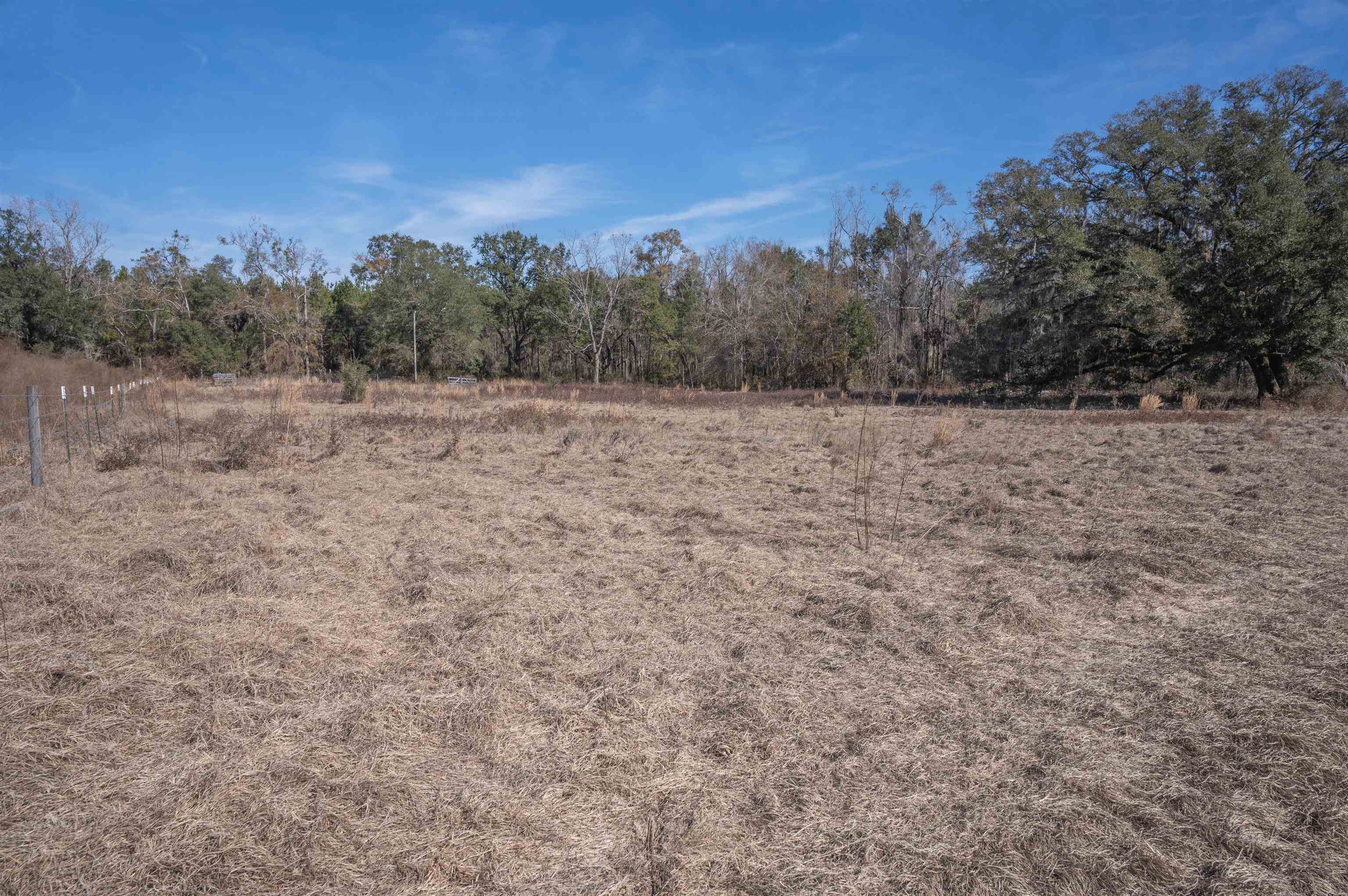 Vacant Hartsfield Road, Monticello, Florida image 10