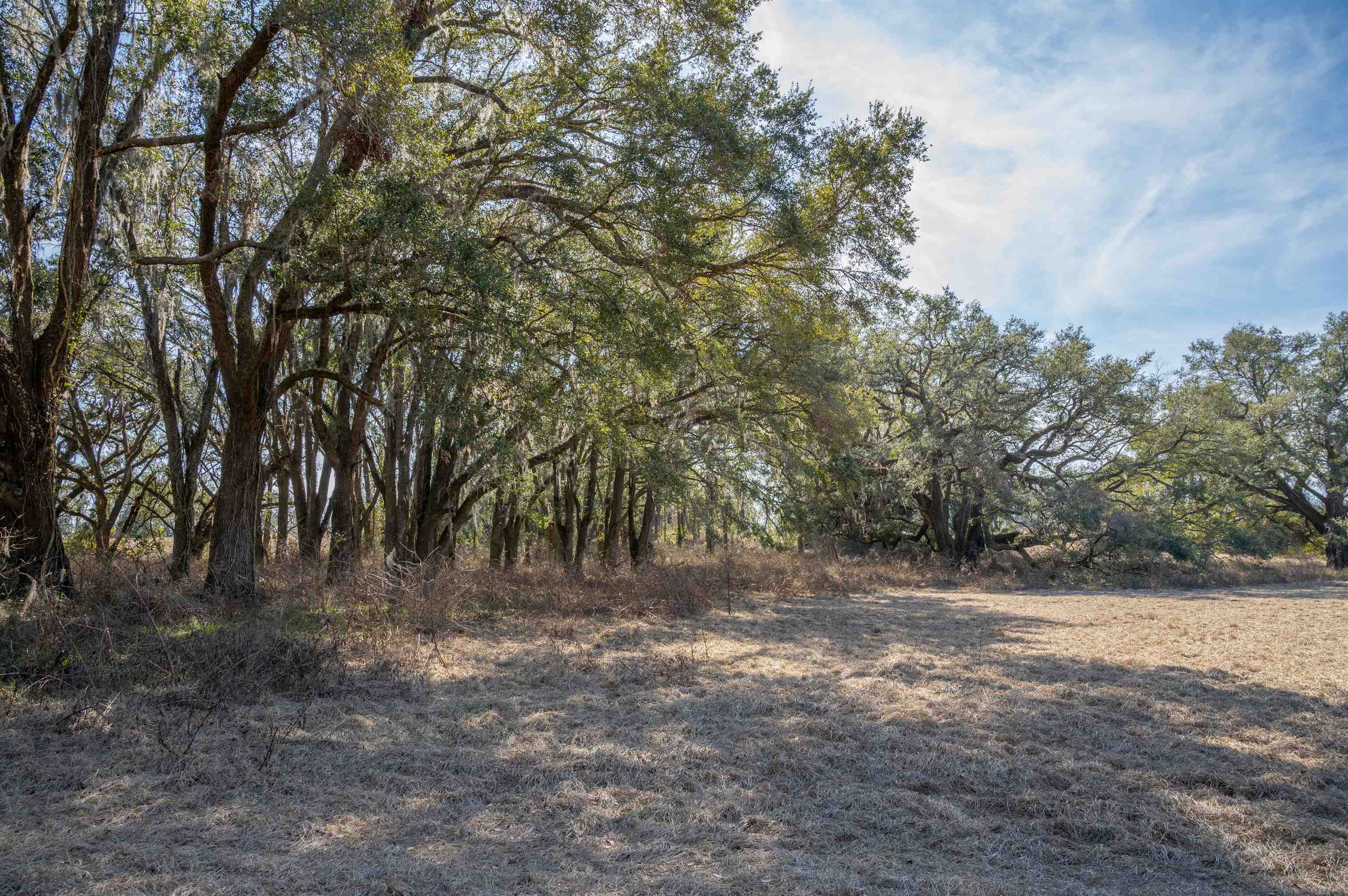 Vacant Hartsfield Road, Monticello, Florida image 11