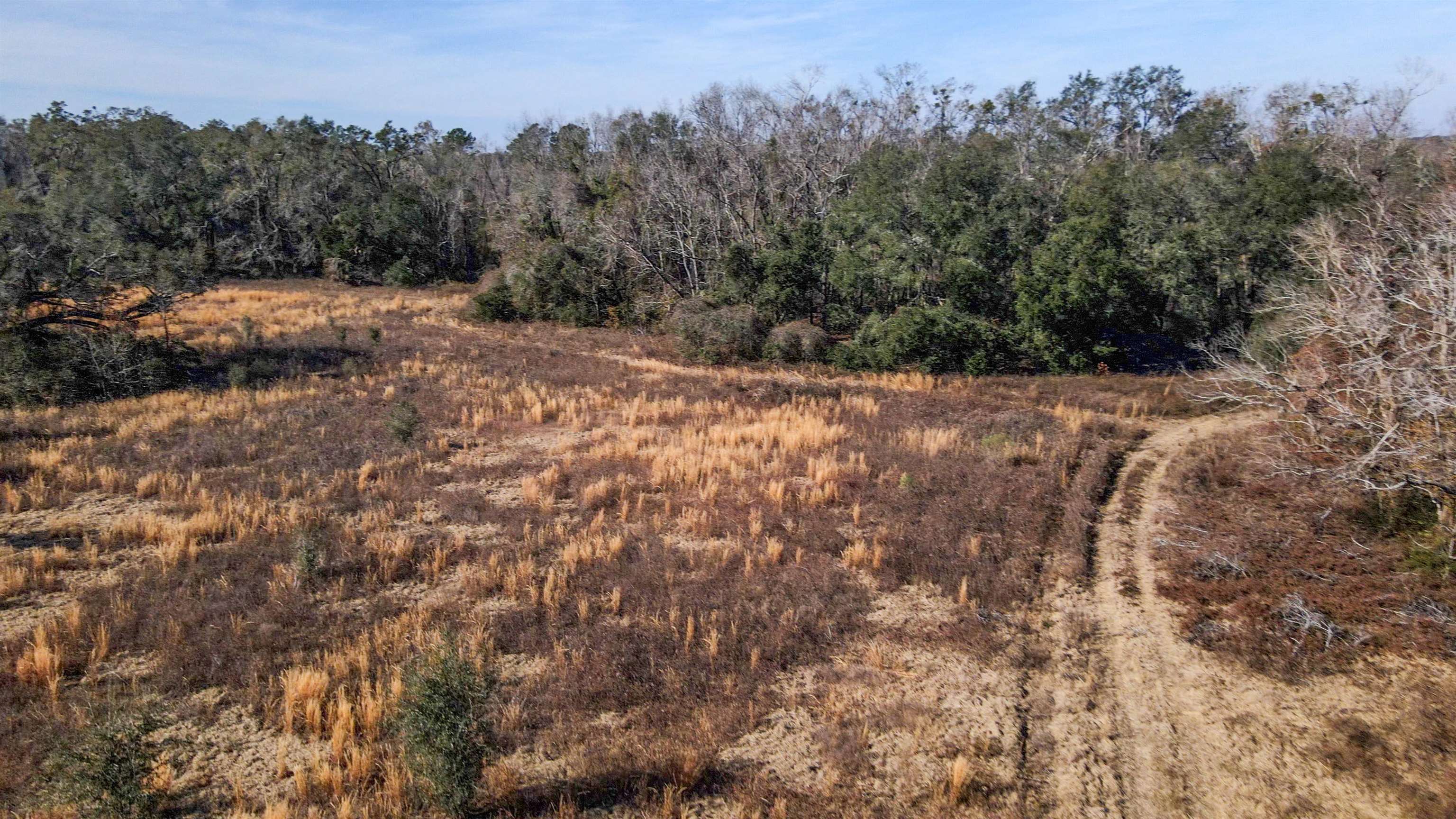 Vacant Hartsfield Road, Monticello, Florida image 15