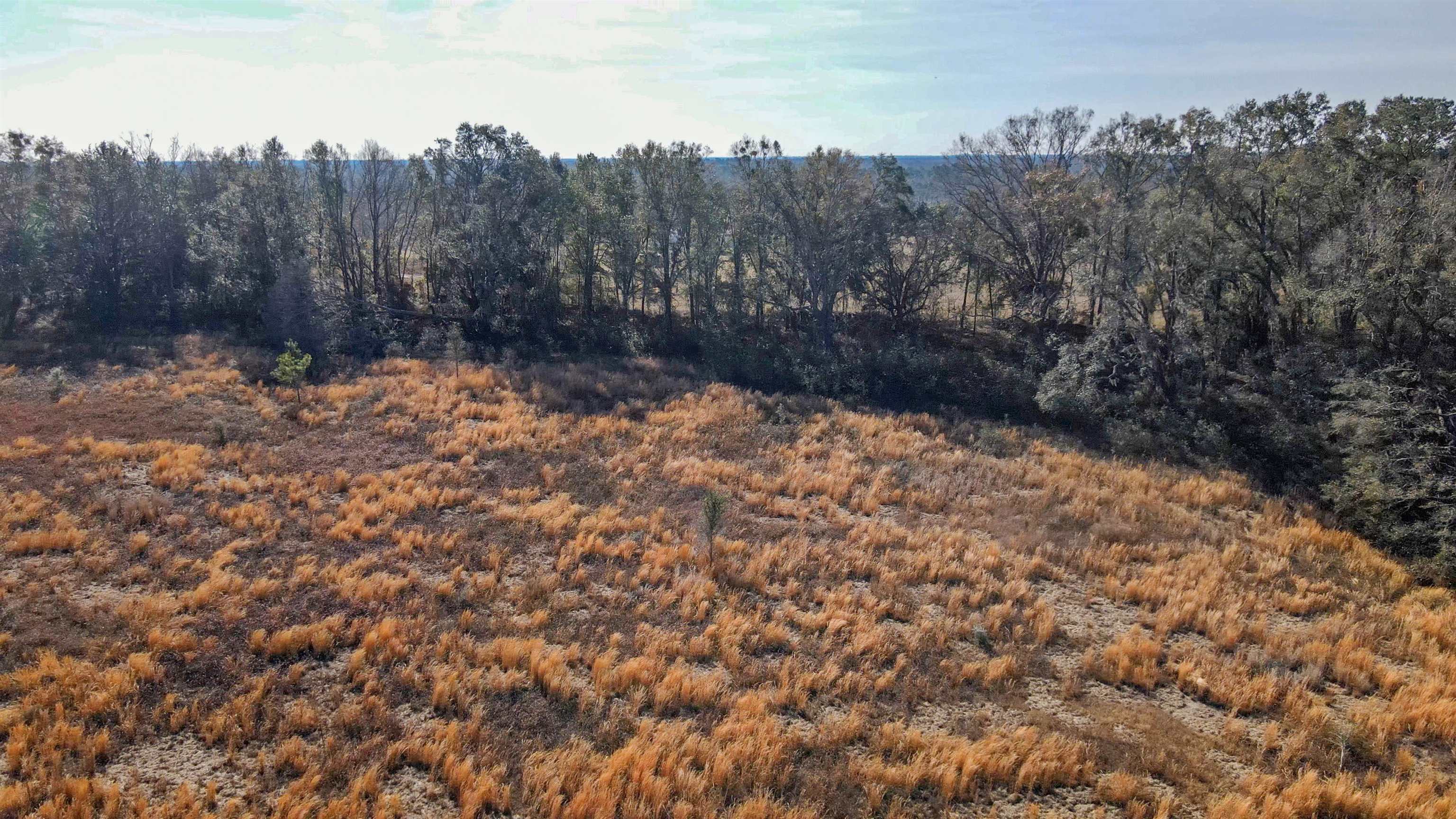 Vacant Hartsfield Road, Monticello, Florida image 16