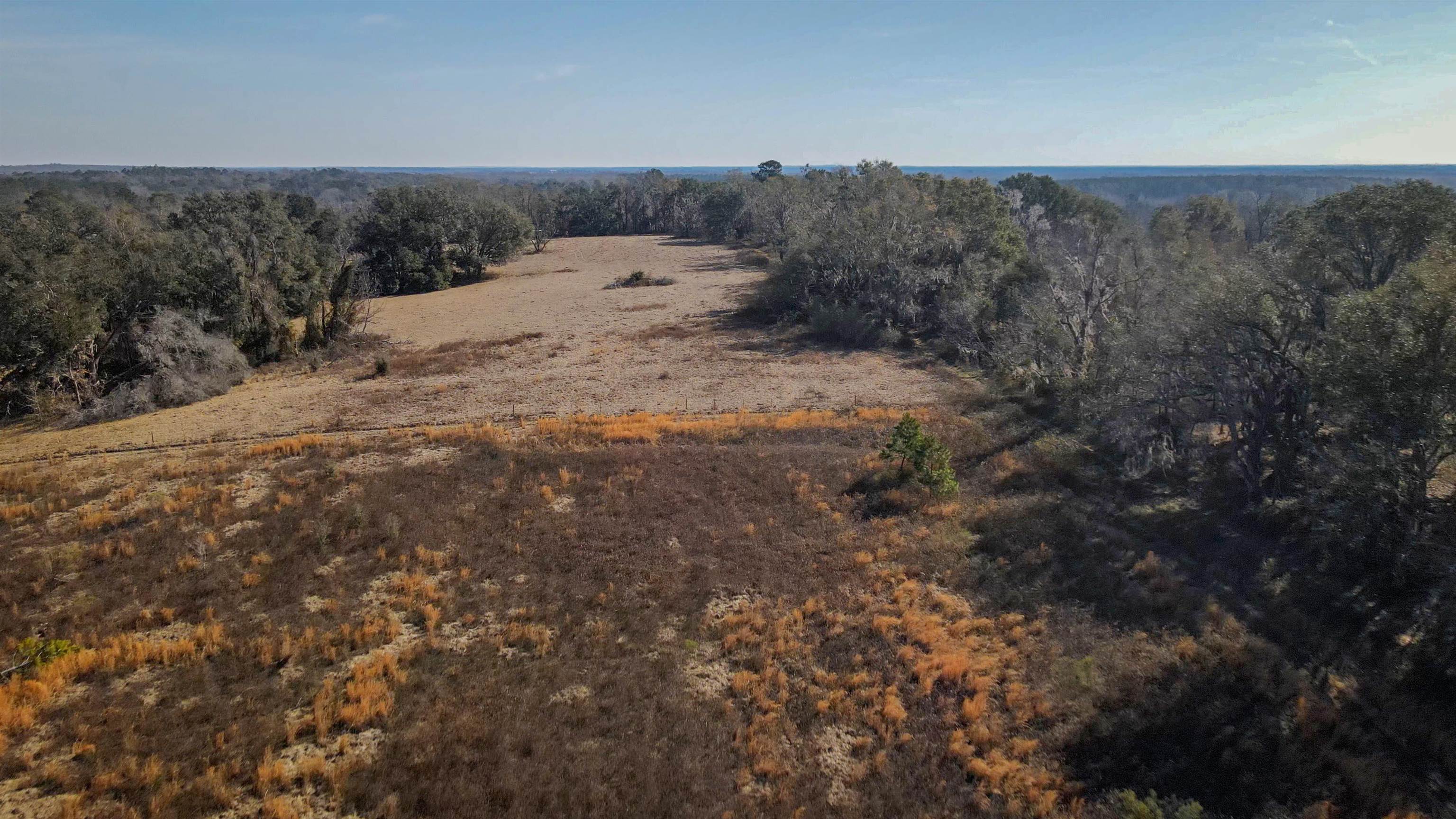 Vacant Hartsfield Road, Monticello, Florida image 17