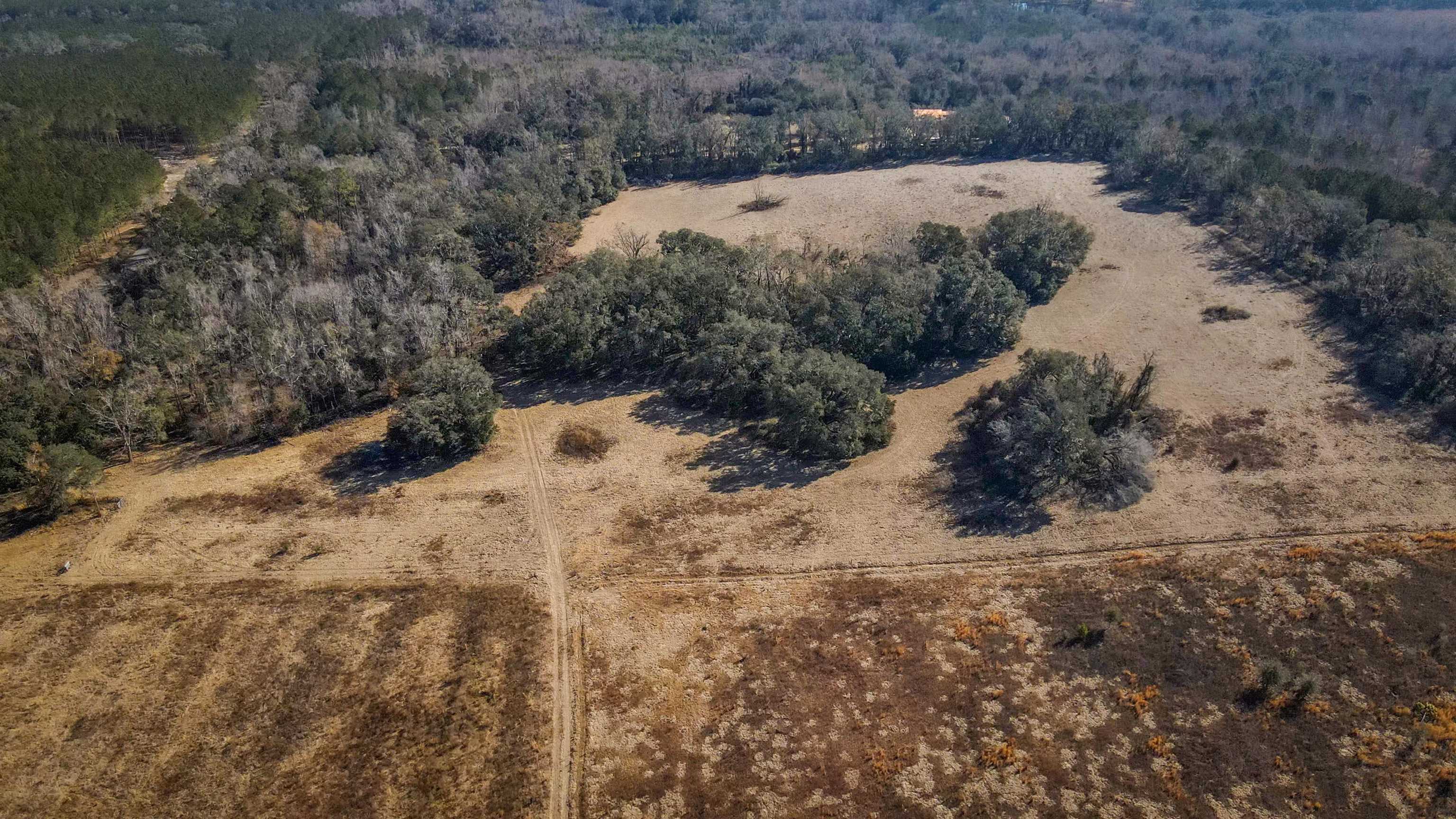 Vacant Hartsfield Road, Monticello, Florida image 20