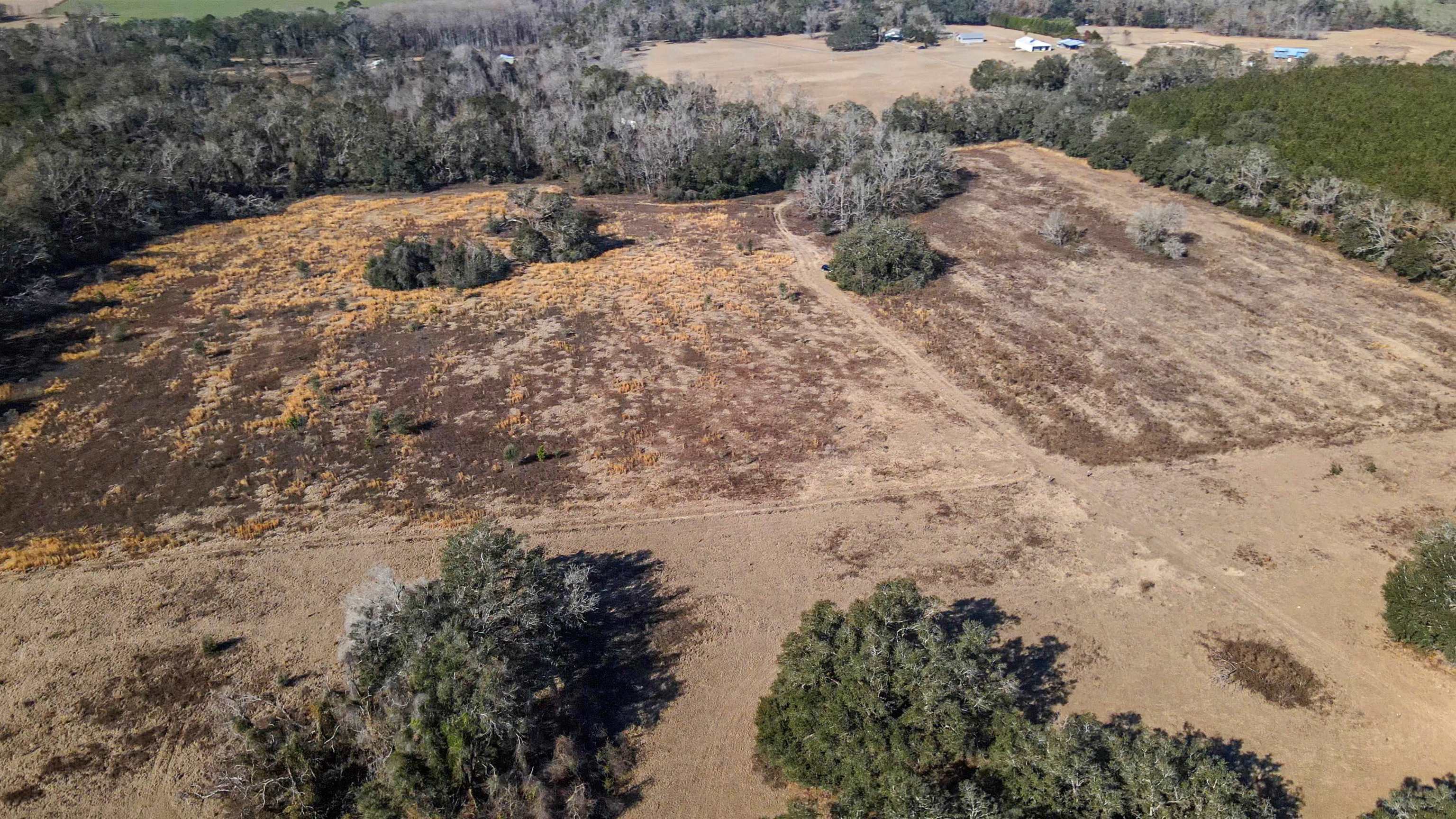 Vacant Hartsfield Road, Monticello, Florida image 21