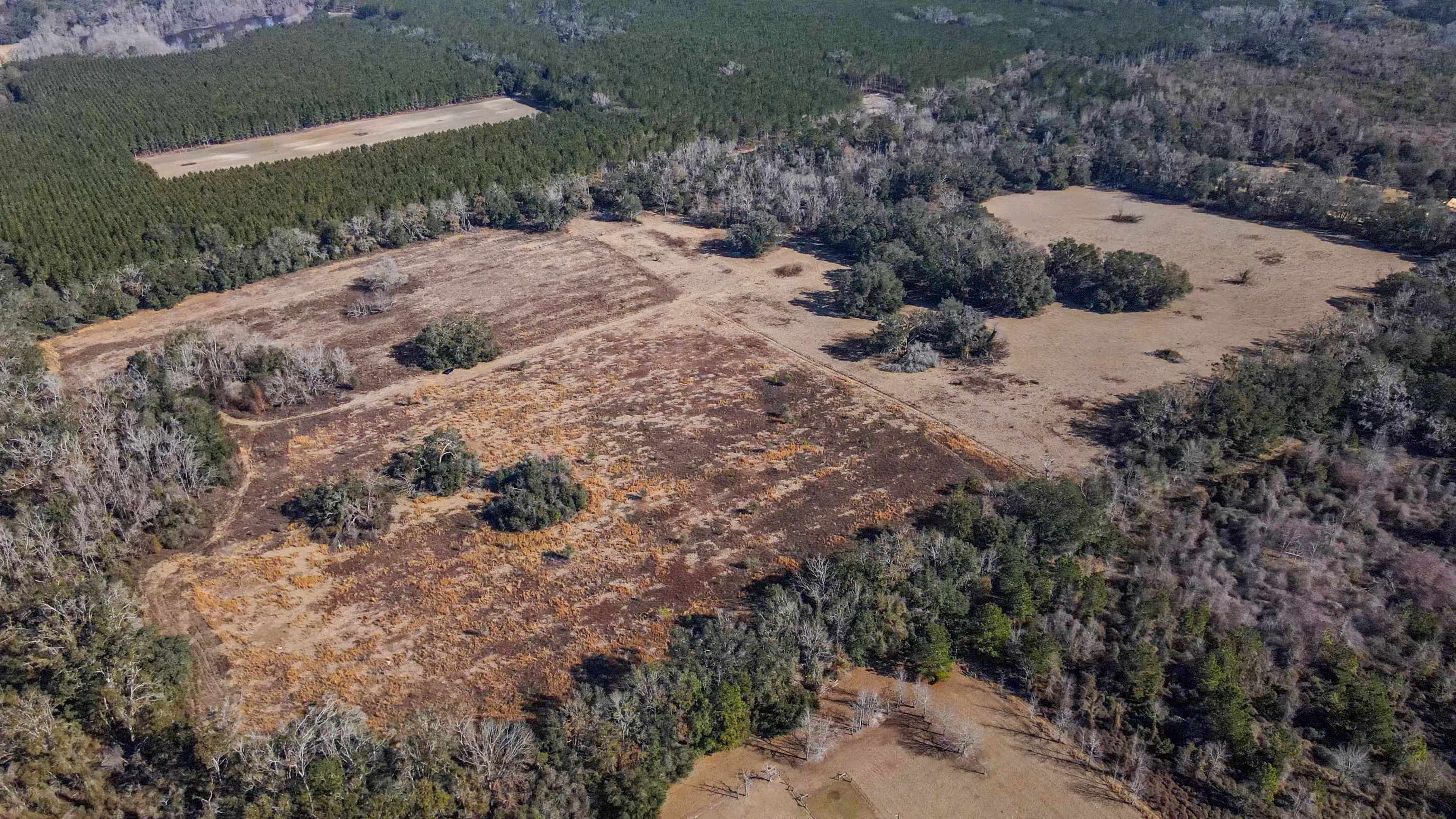 Vacant Hartsfield Road, Monticello, Florida image 22