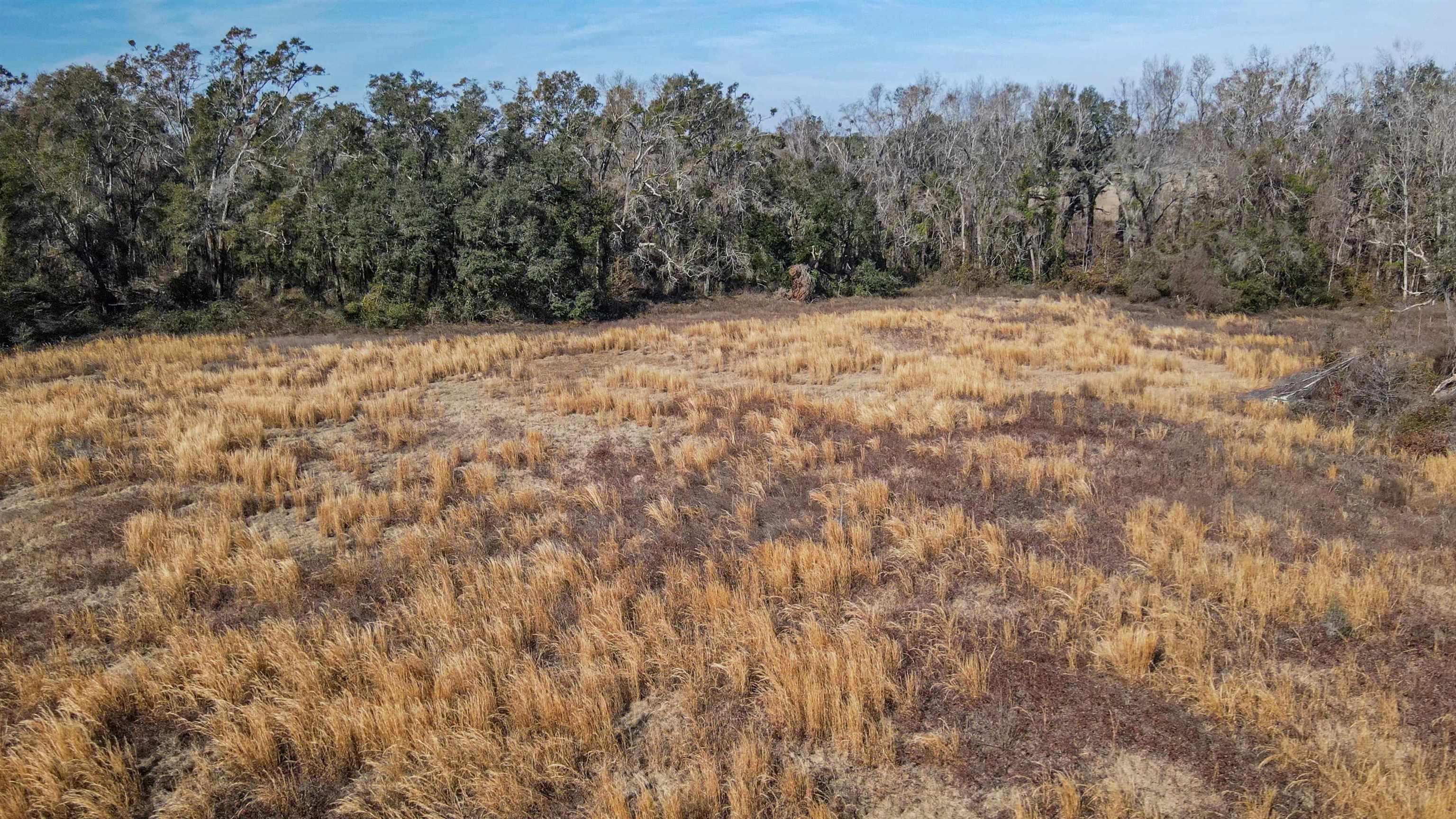 Vacant Hartsfield Road, Monticello, Florida image 24