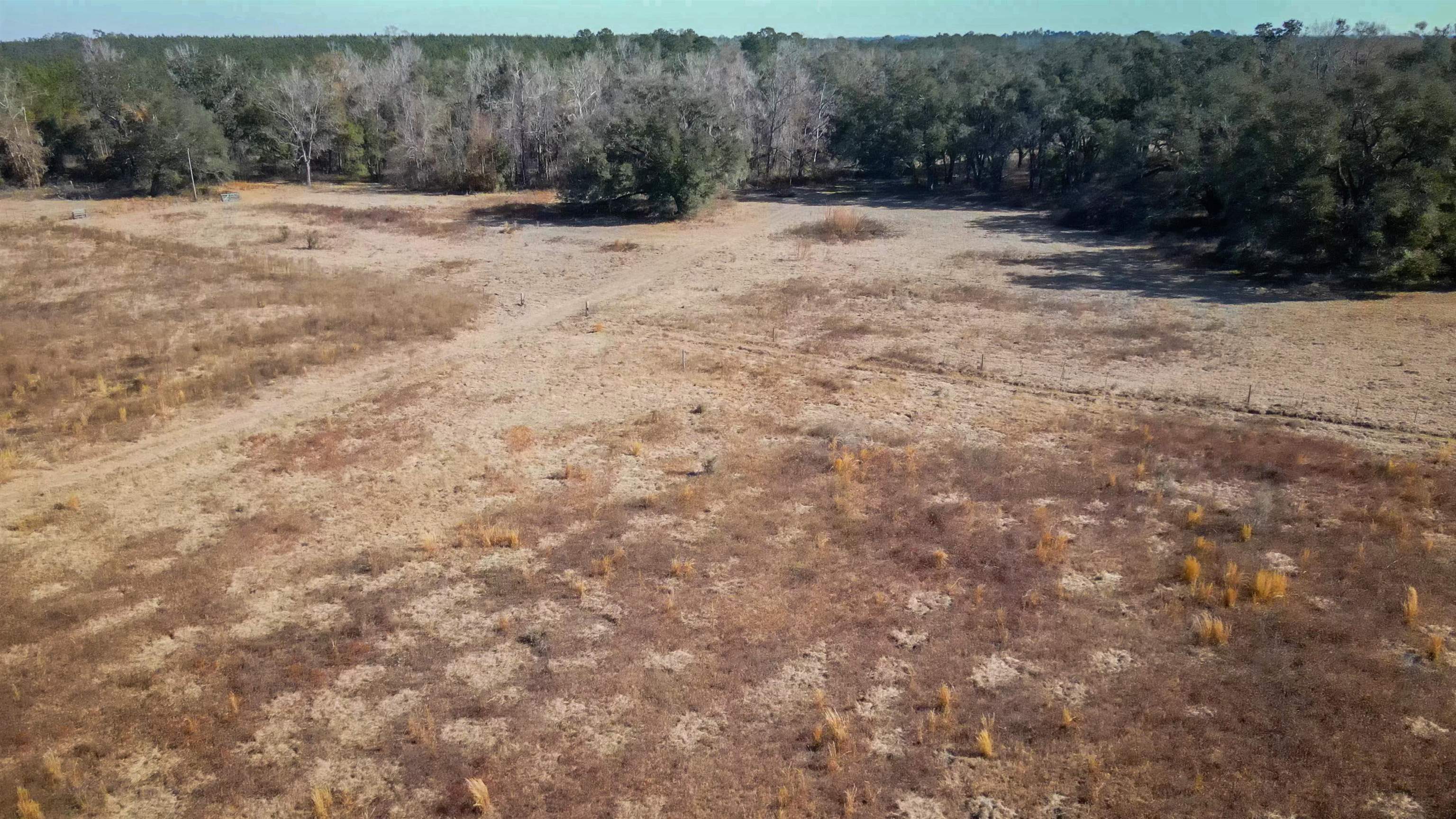 Vacant Hartsfield Road, Monticello, Florida image 25