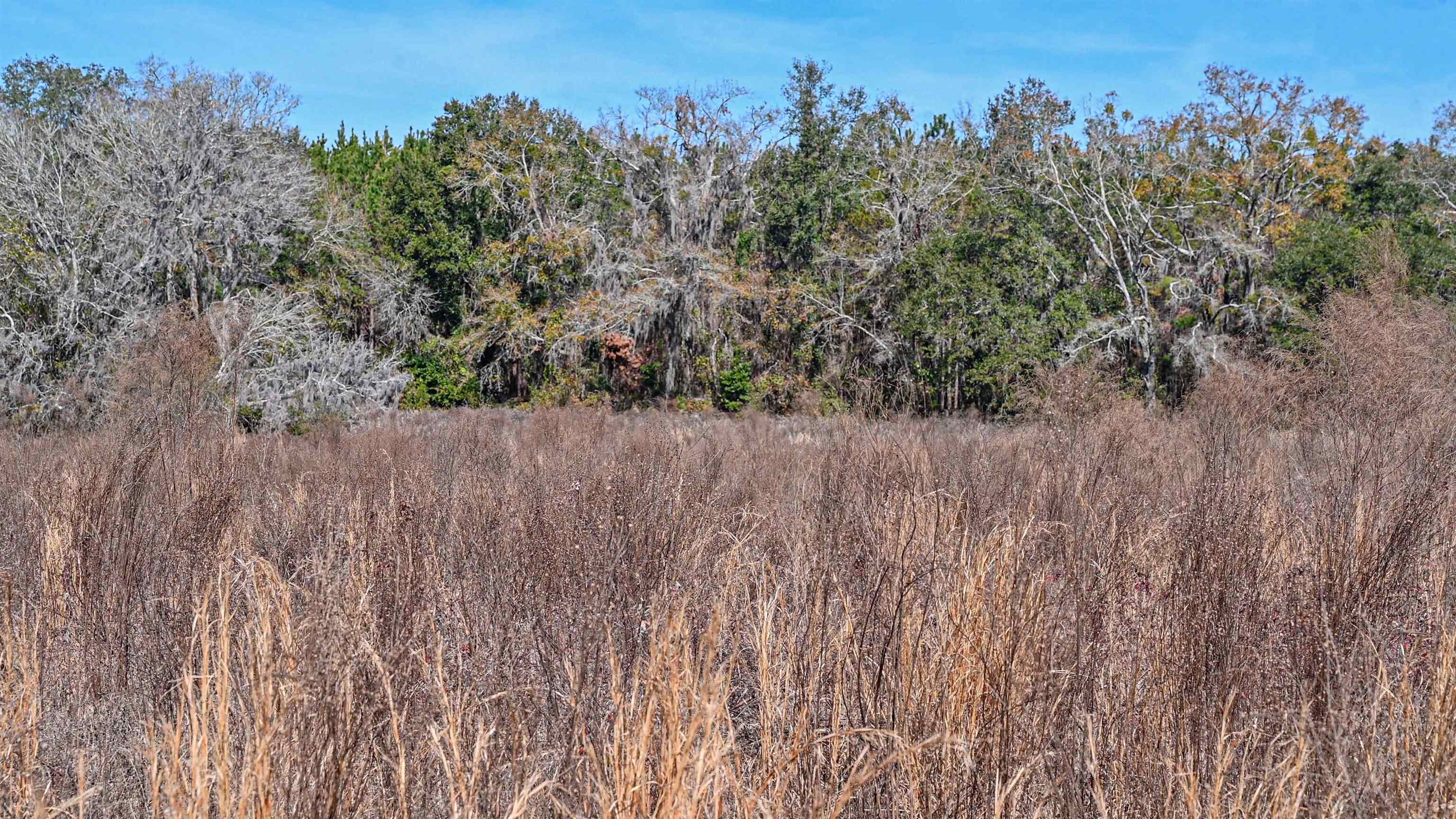 Vacant Hartsfield Road, Monticello, Florida image 27