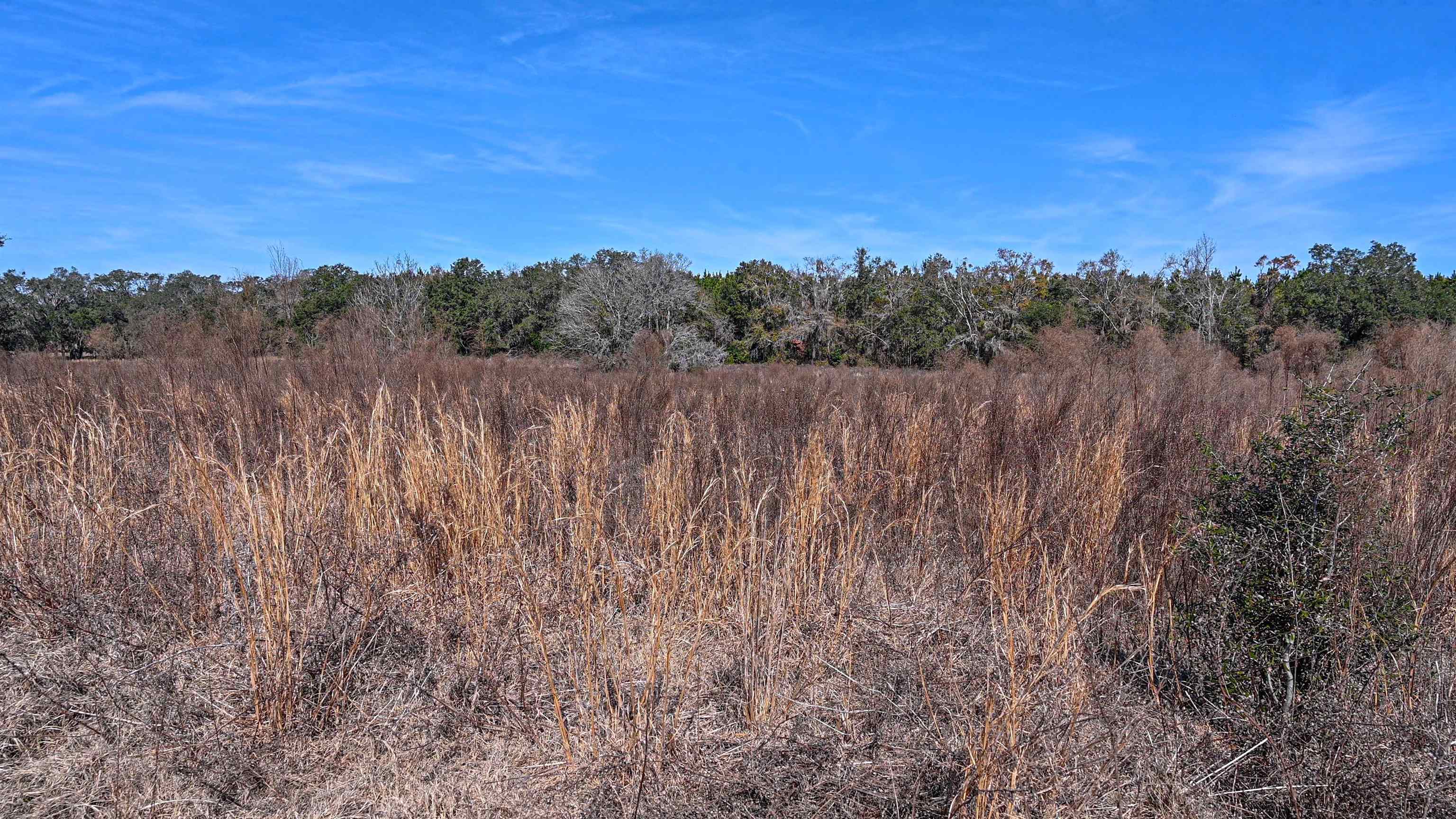 Vacant Hartsfield Road, Monticello, Florida image 28