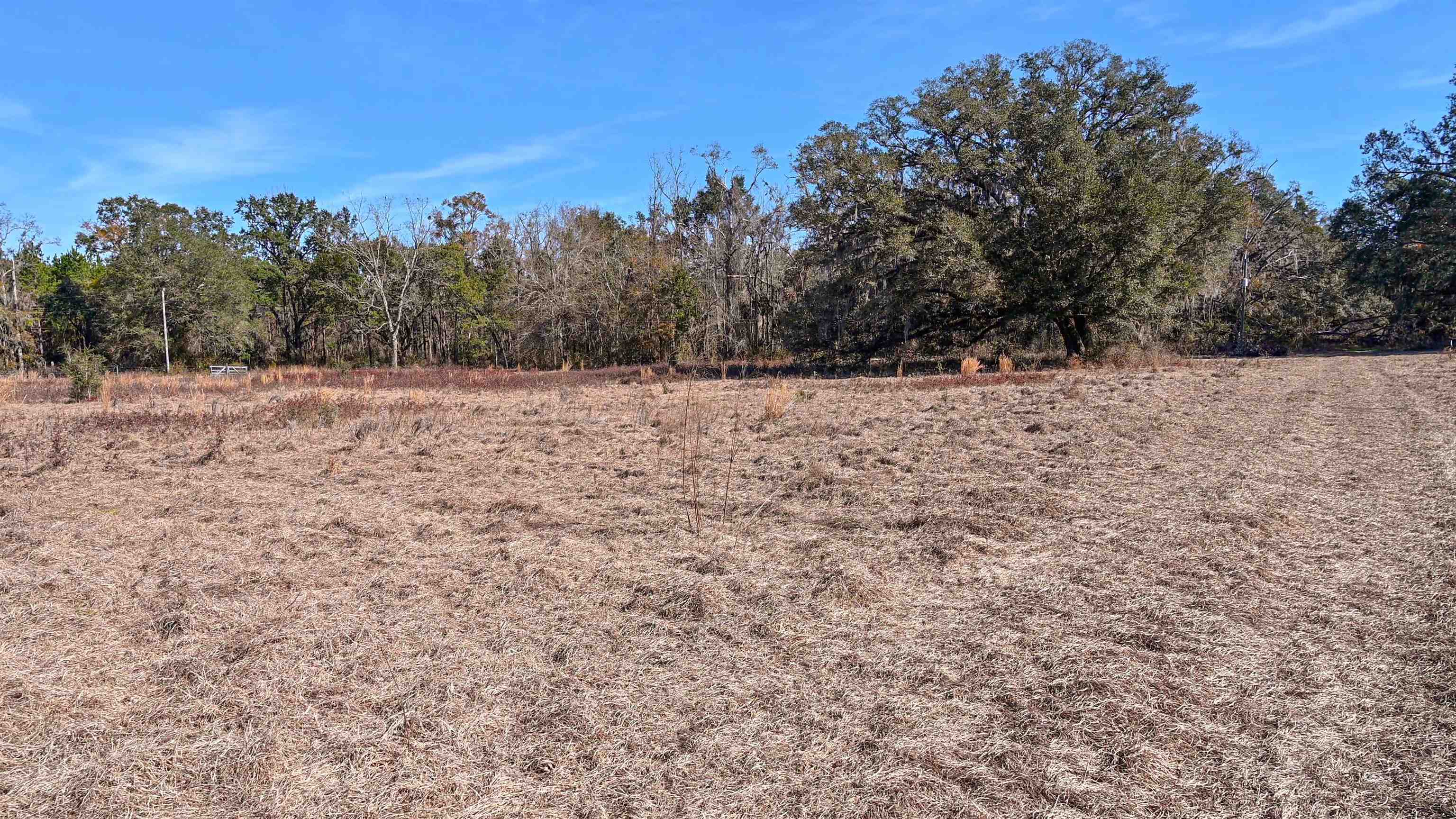 Vacant Hartsfield Road, Monticello, Florida image 29