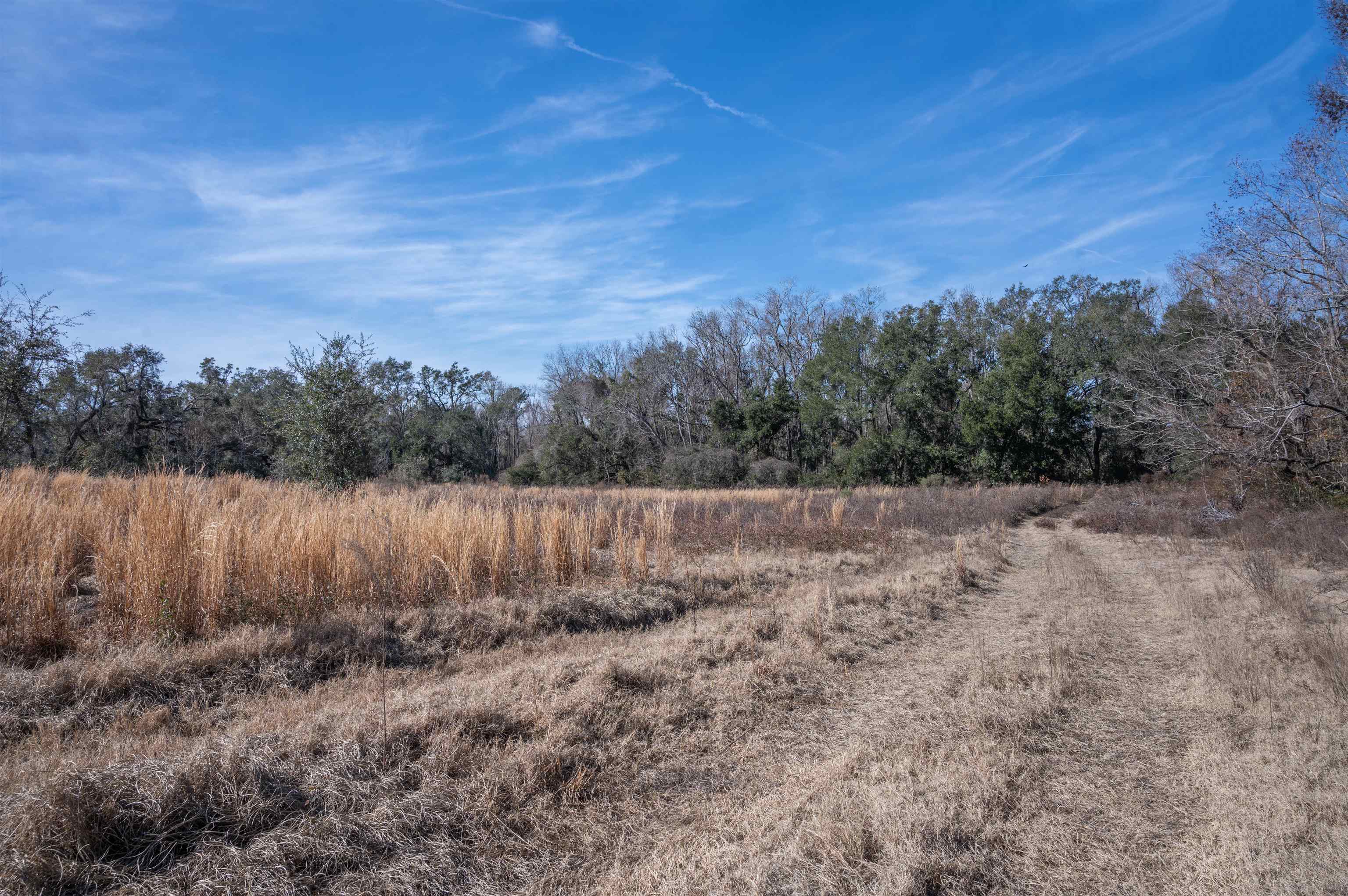 Vacant Hartsfield Road, Monticello, Florida image 4