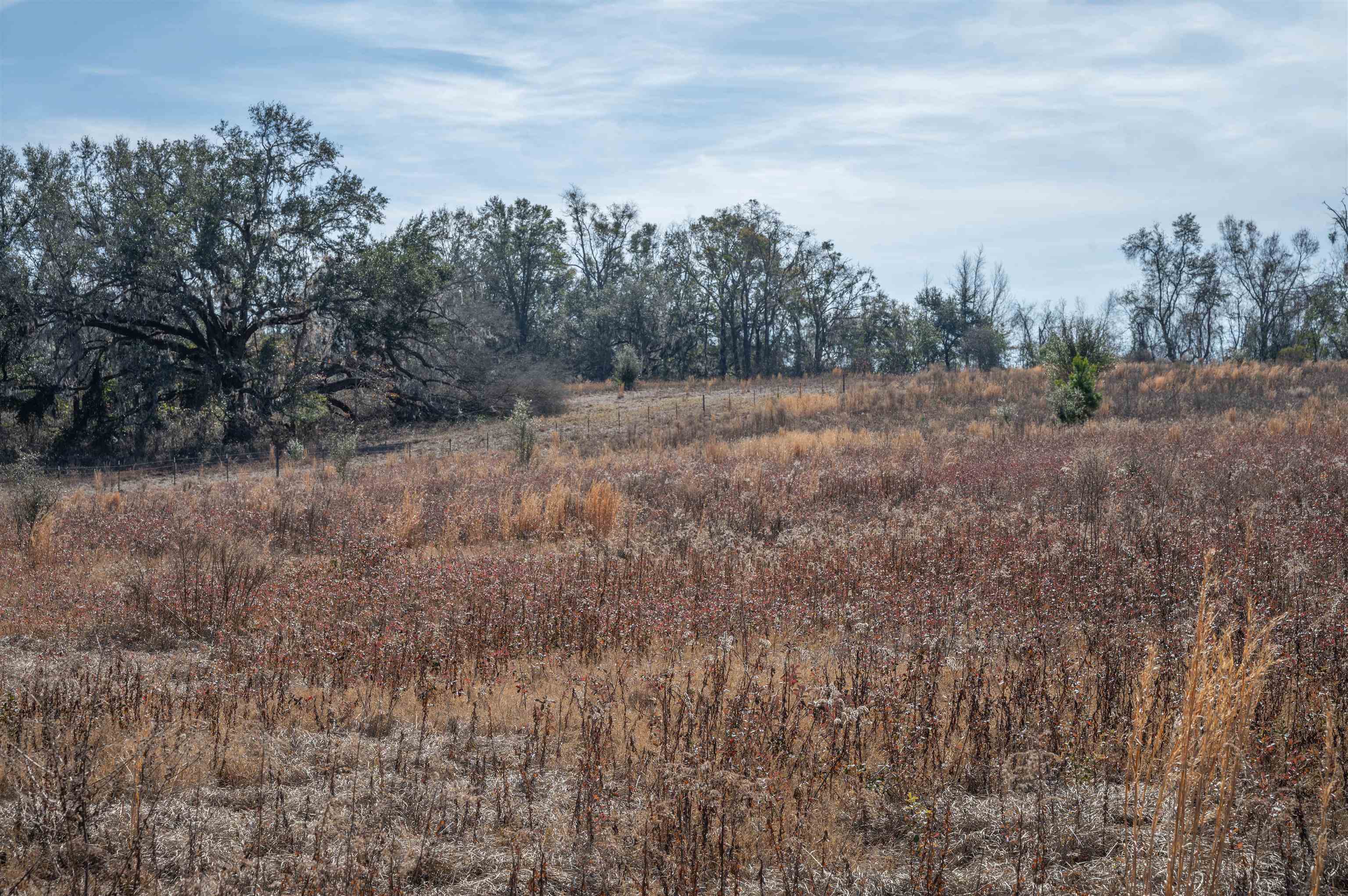 Vacant Hartsfield Road, Monticello, Florida image 6