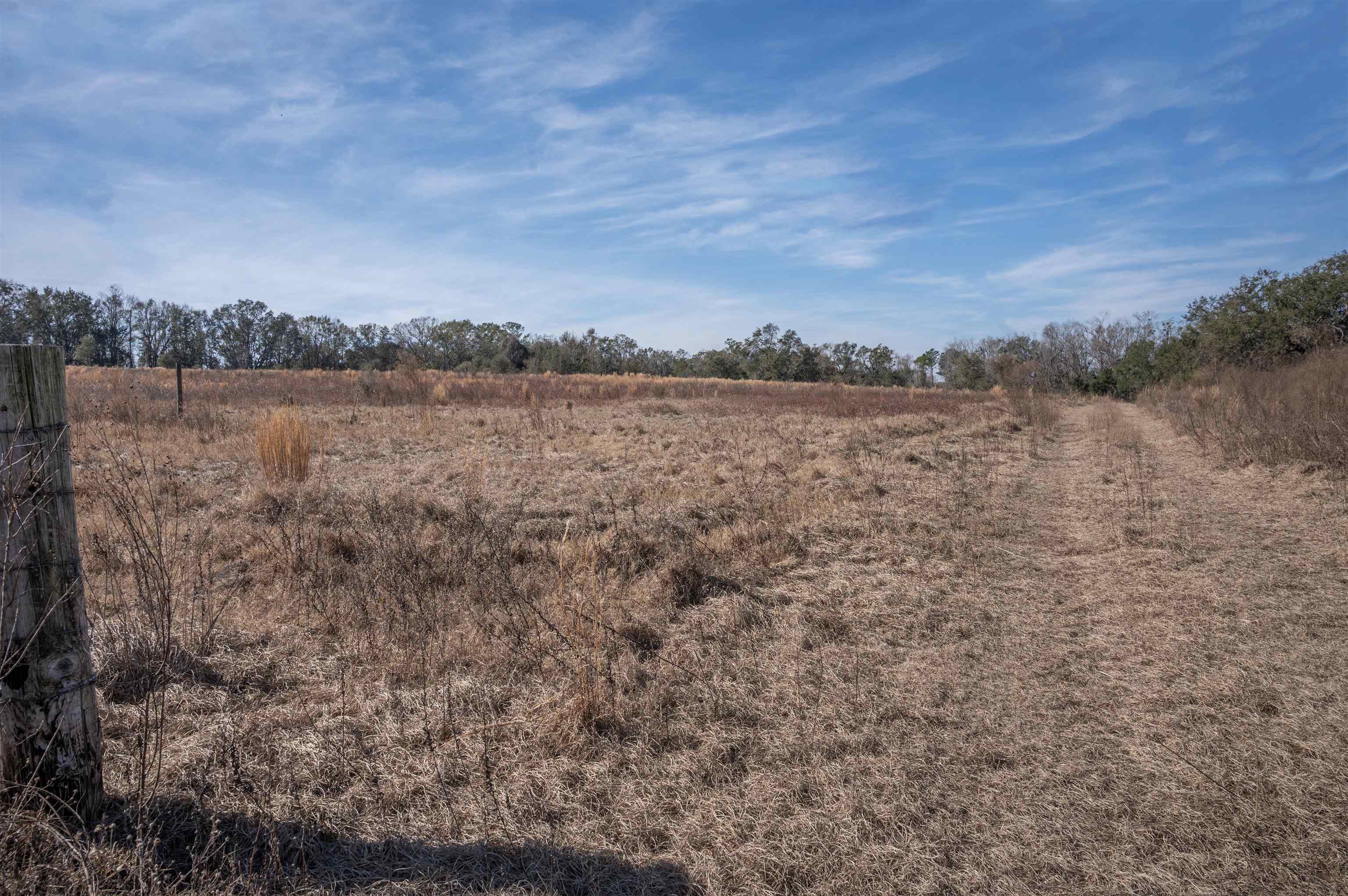 Vacant Hartsfield Road, Monticello, Florida image 9