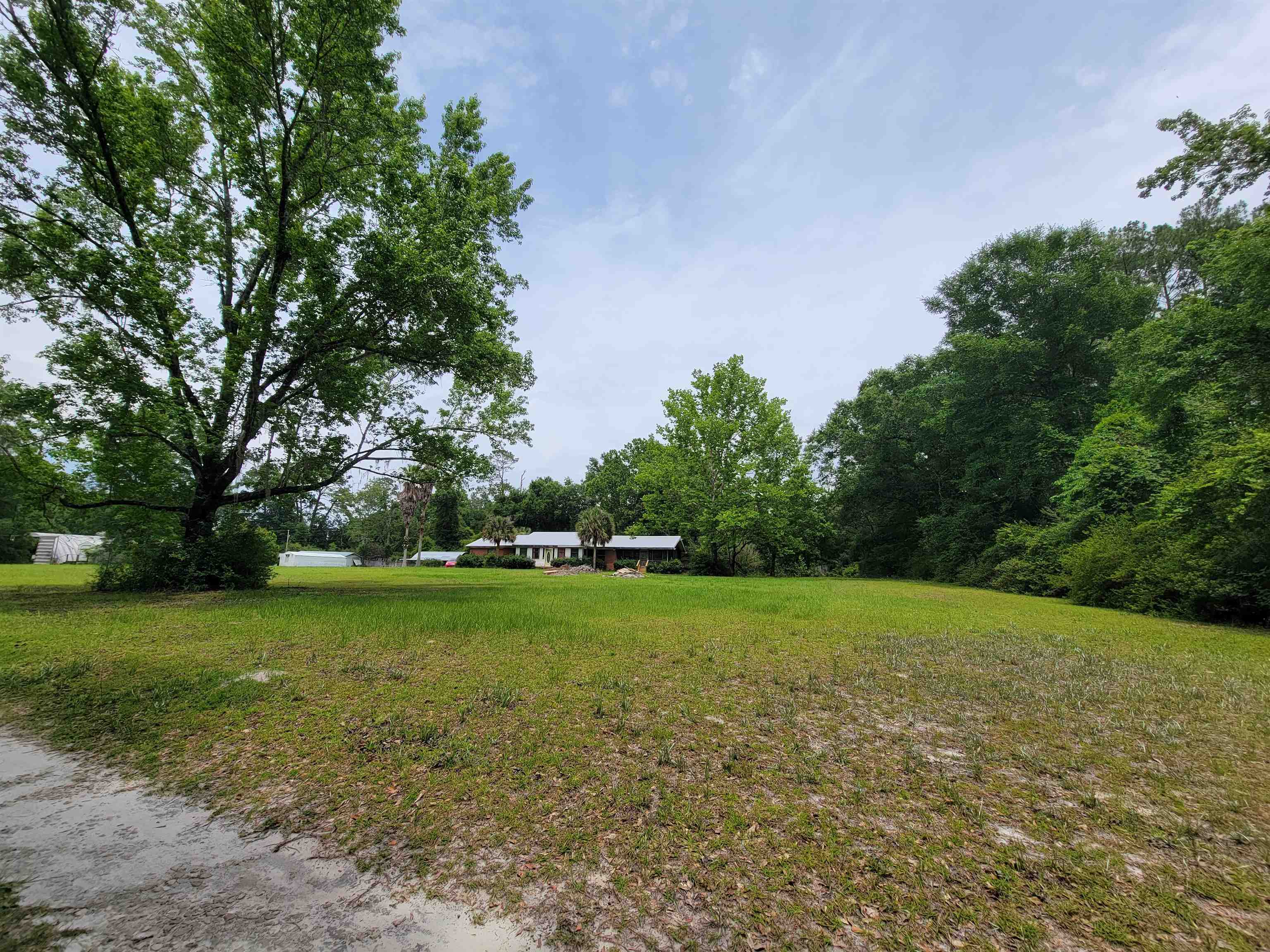173 Mccallister Road, Crawfordville, Florida image 9