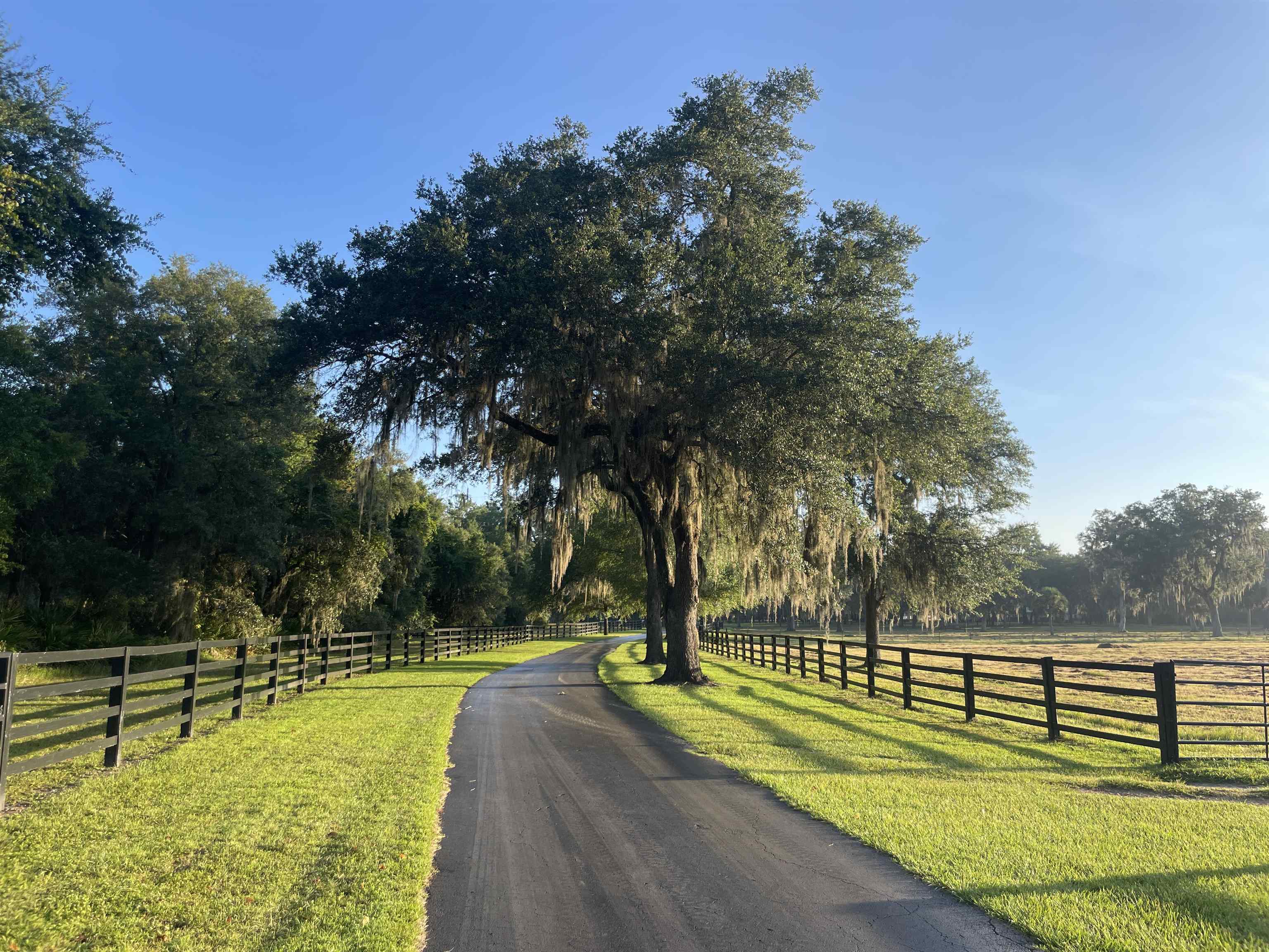 3920 Bill Carlton Road, Perry, Florida image 31